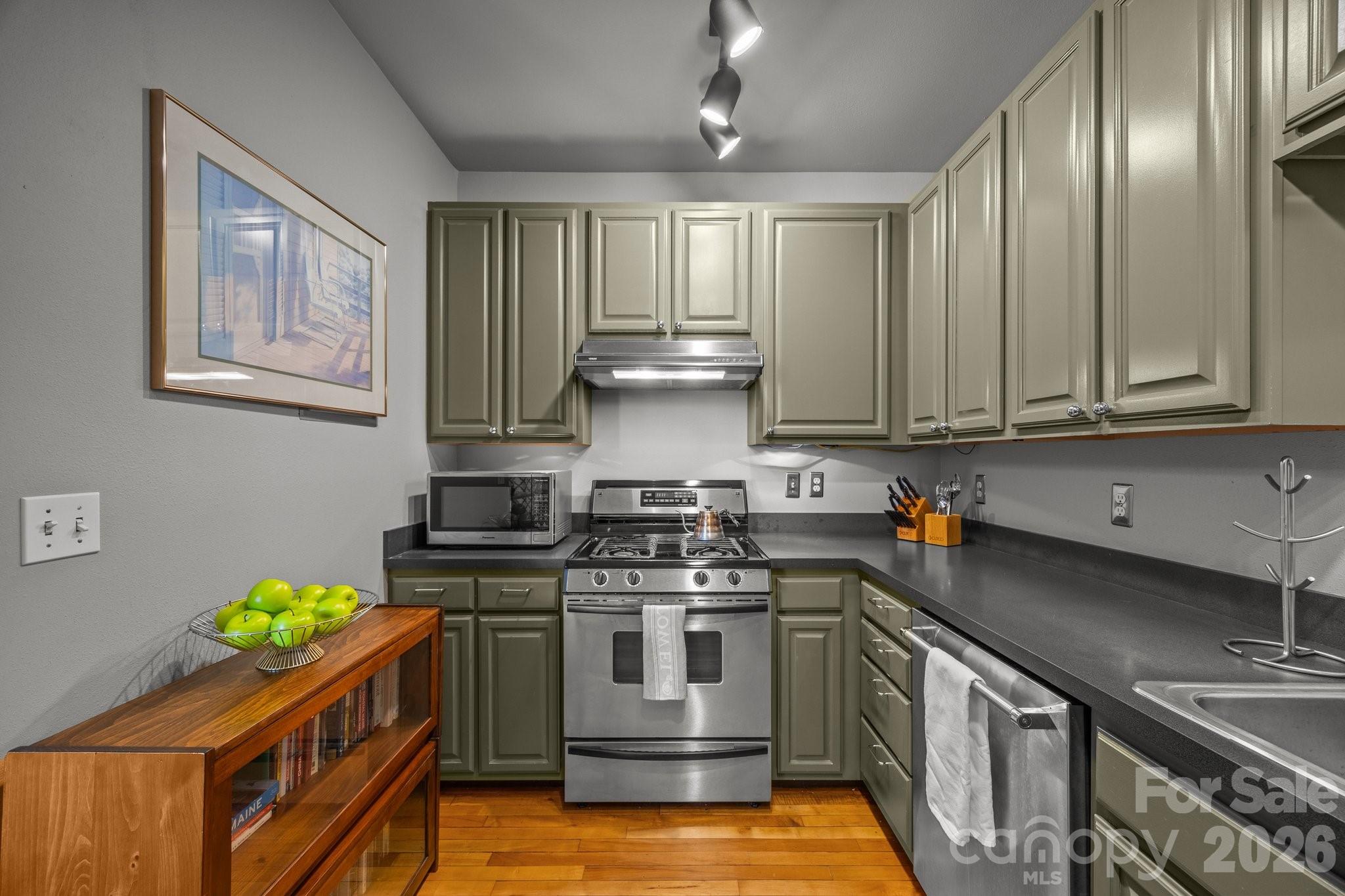 84 W Walnut Street #405 — Asheville