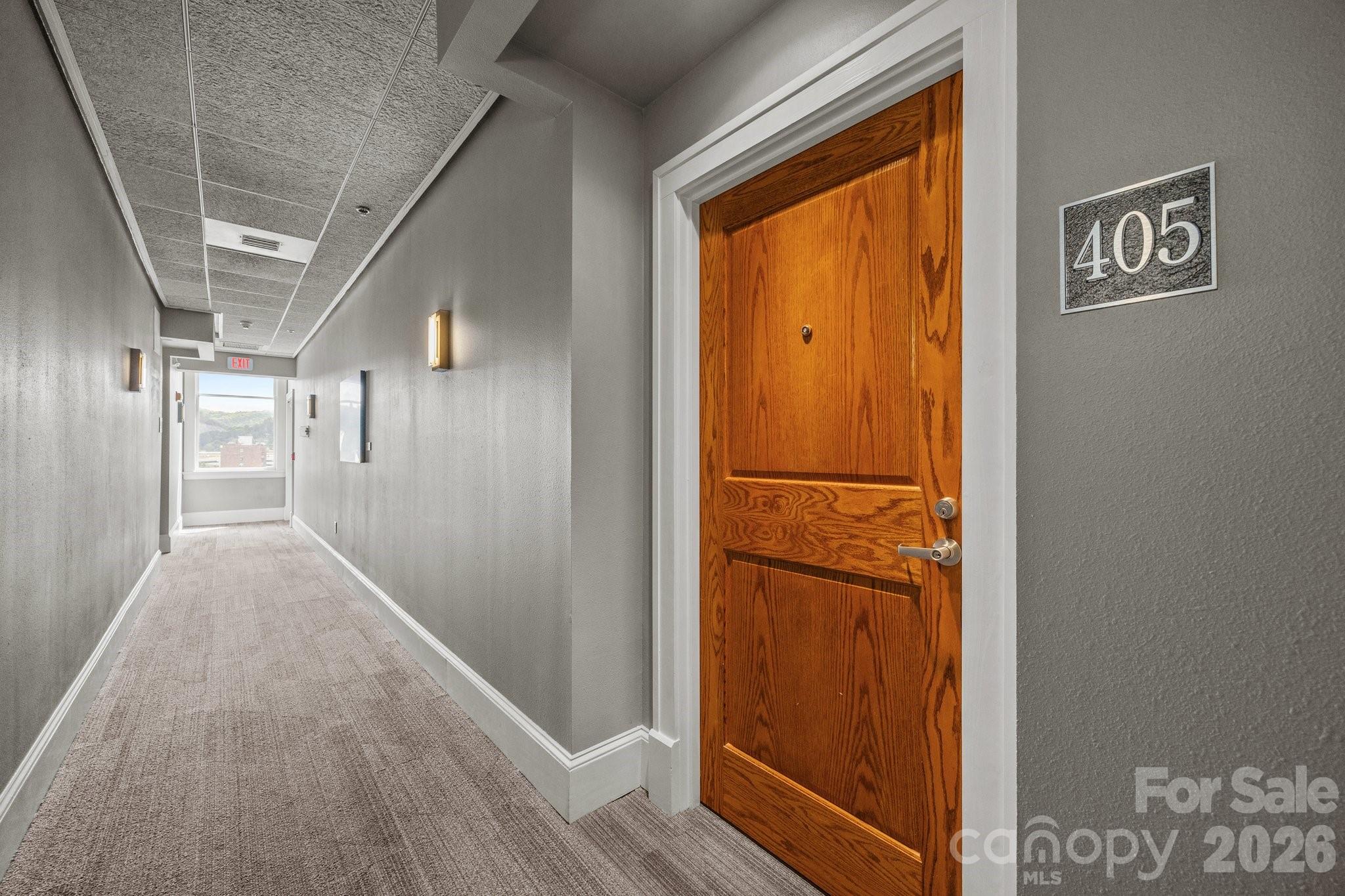 84 W Walnut Street #405 — Asheville