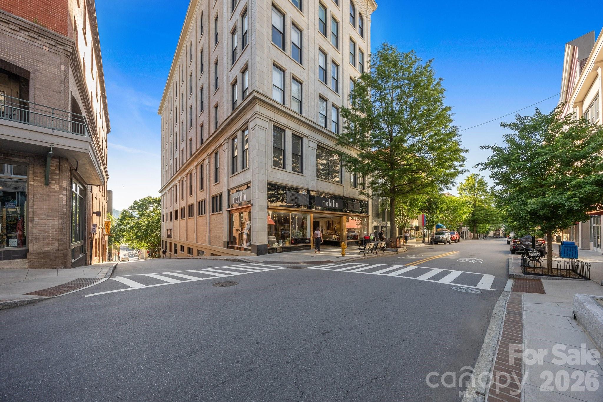 84 W Walnut Street #405 — Asheville