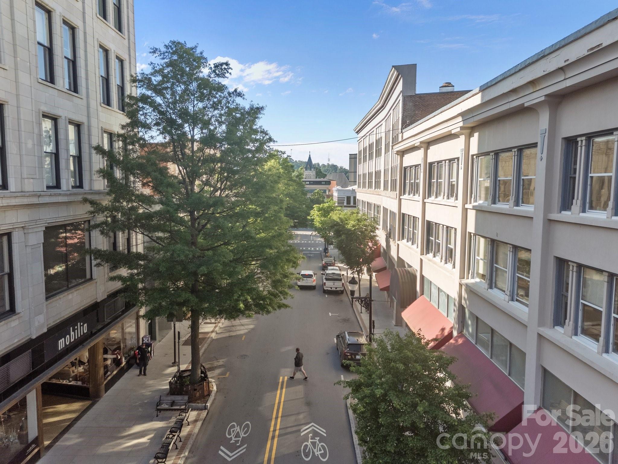 84 W Walnut Street #405 — Asheville