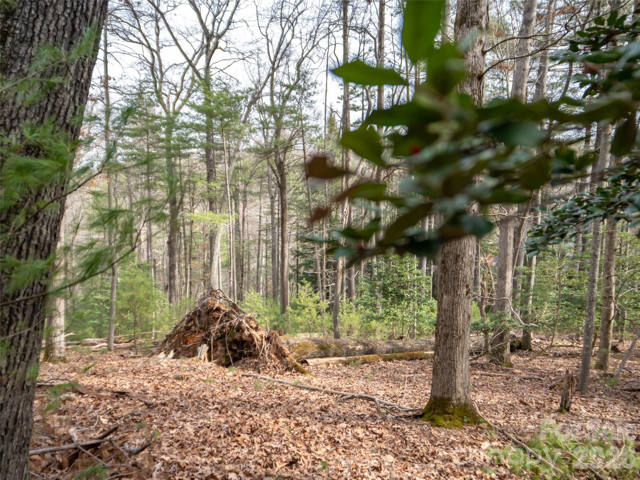 9999 Cedar Hill Drive #12 — Asheville