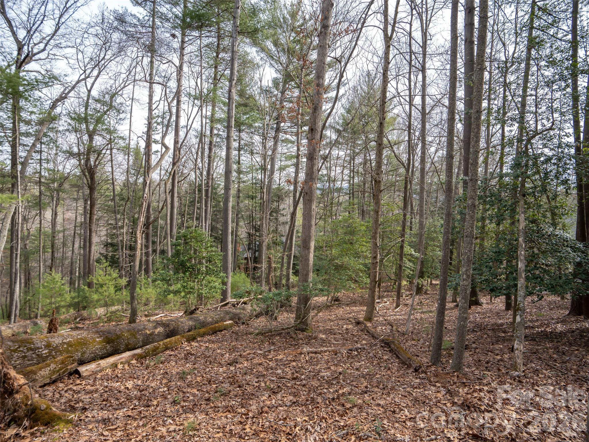 9999 Cedar Hill Drive #12 — Asheville