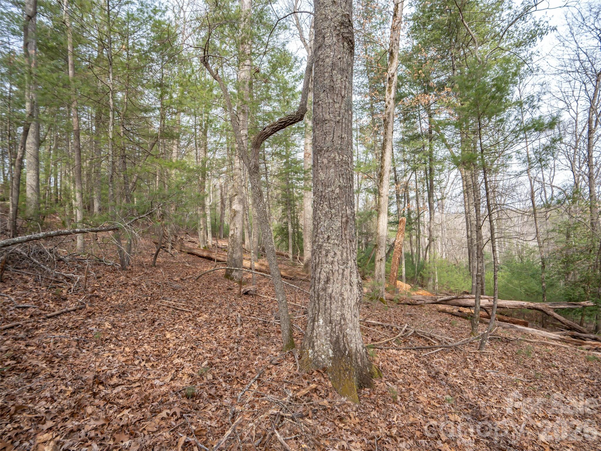 9999 Cedar Hill Drive #12 — Asheville