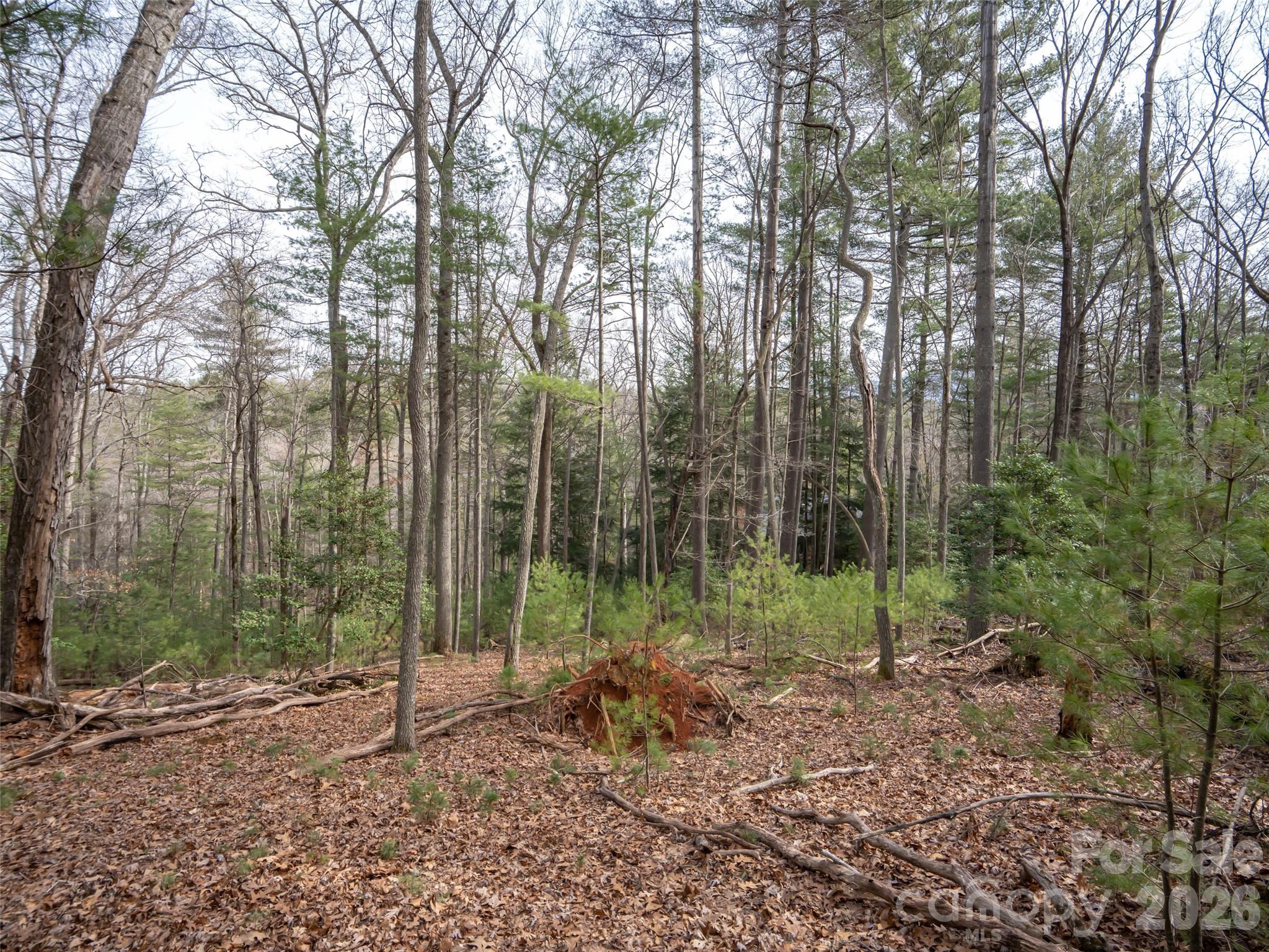 9999 Cedar Hill Drive #12 — Asheville