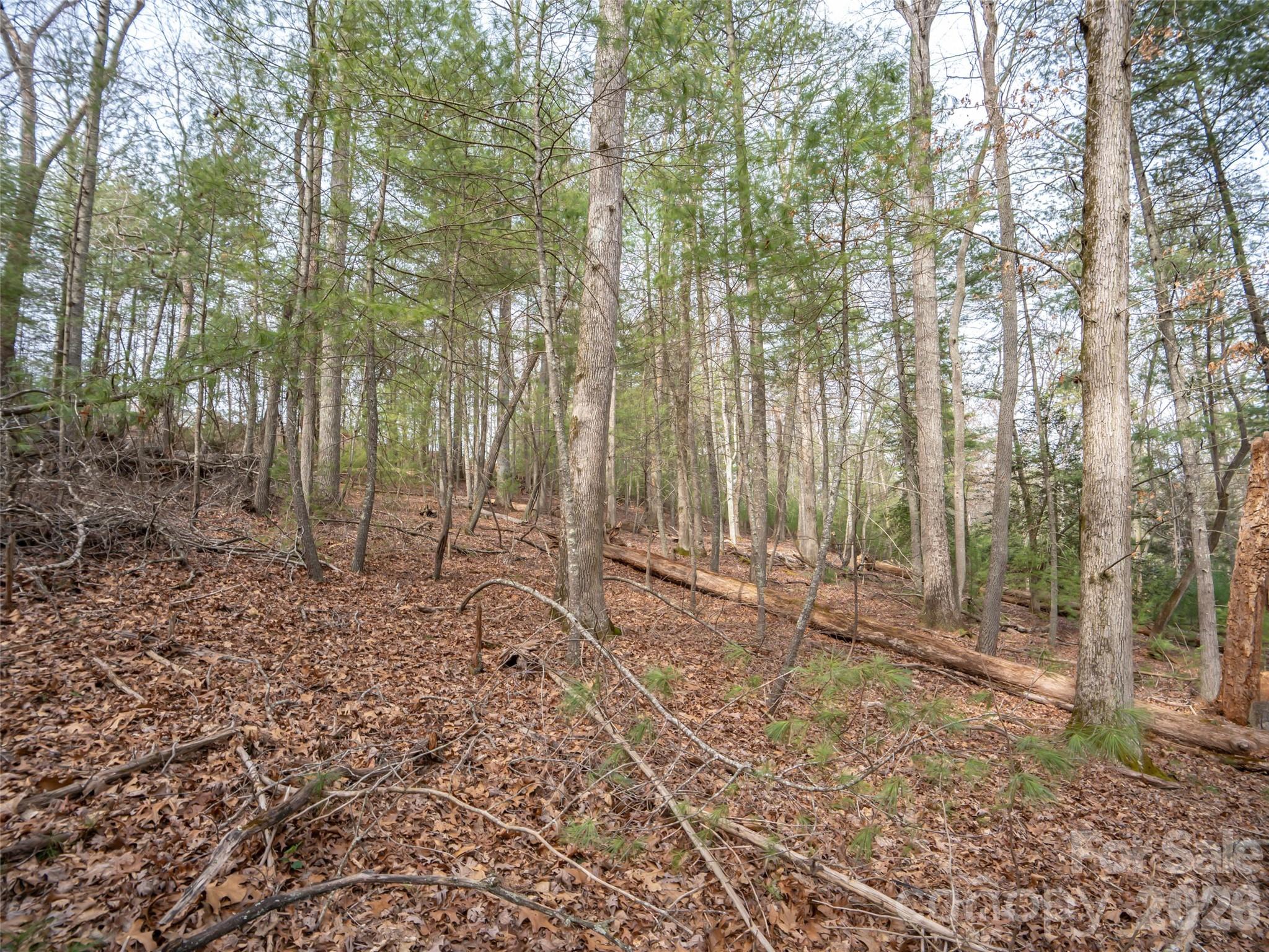 9999 Cedar Hill Drive #12 — Asheville