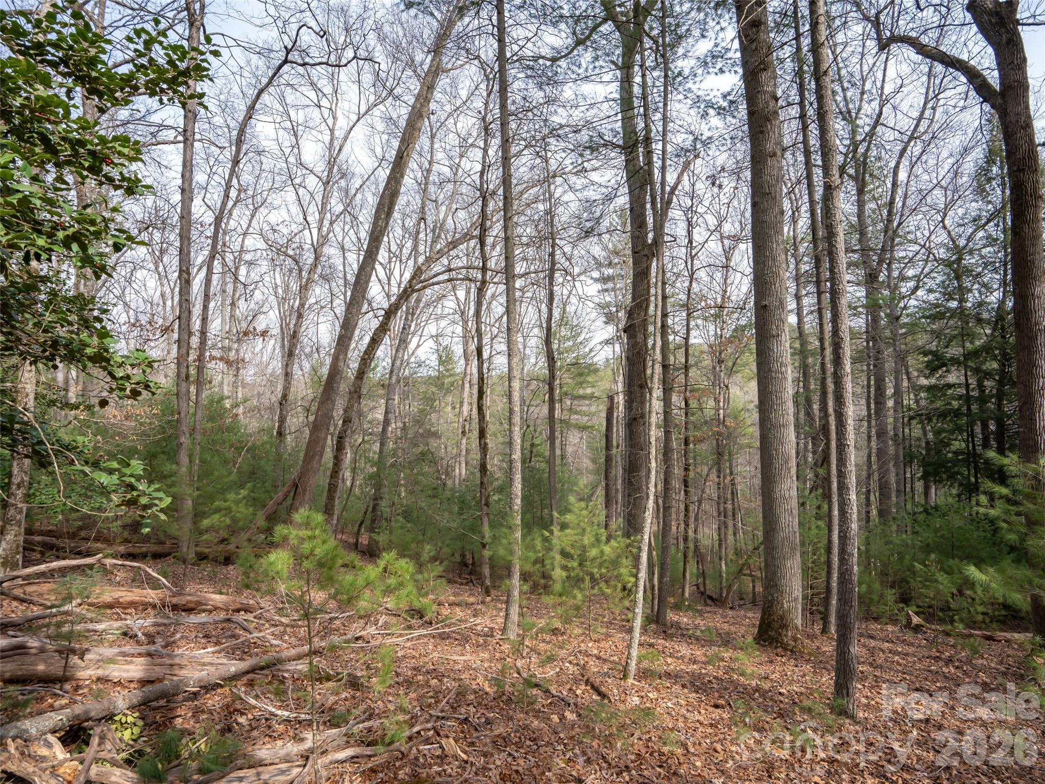 9999 Cedar Hill Drive #12 — Asheville