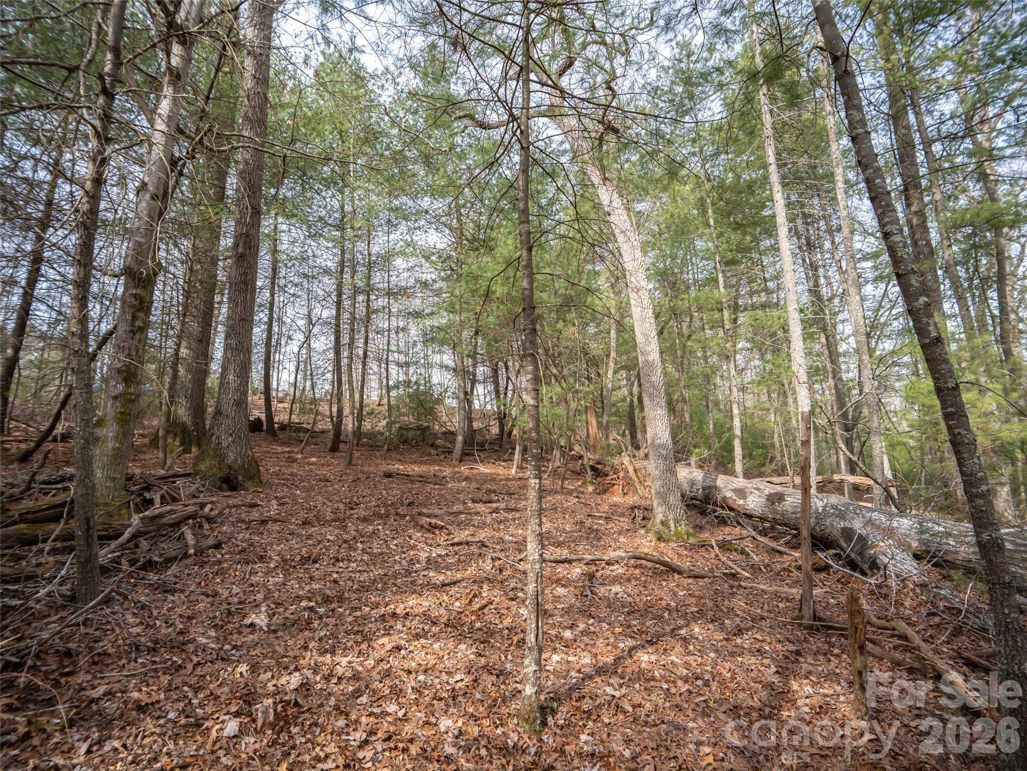 9999 Cedar Hill Drive #12 — Asheville