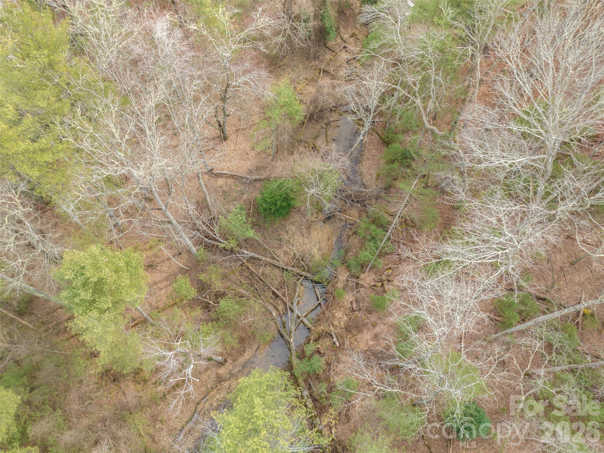 9999 Cedar Hill Drive #12 — Asheville