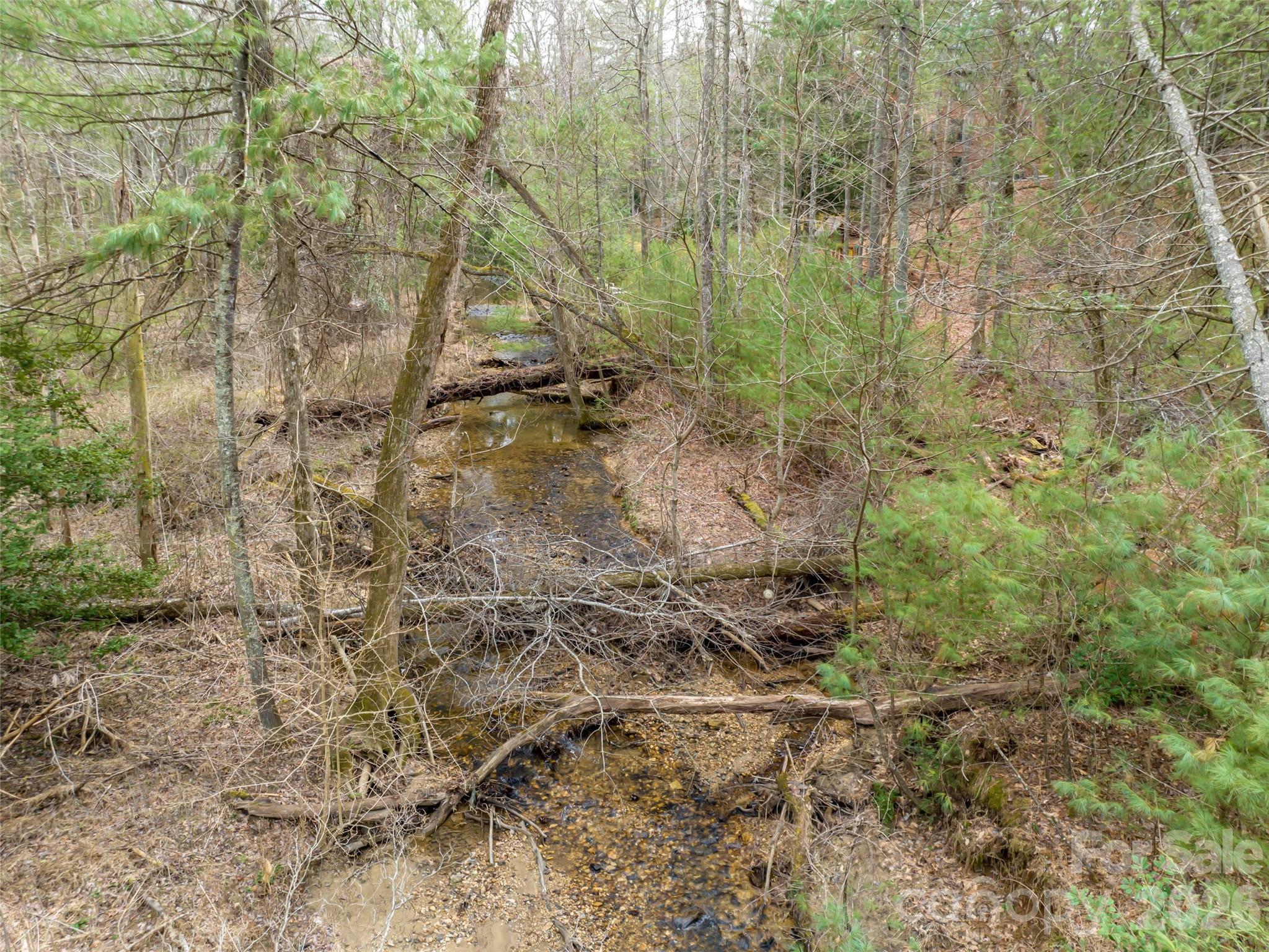 9999 Cedar Hill Drive #12 — Asheville