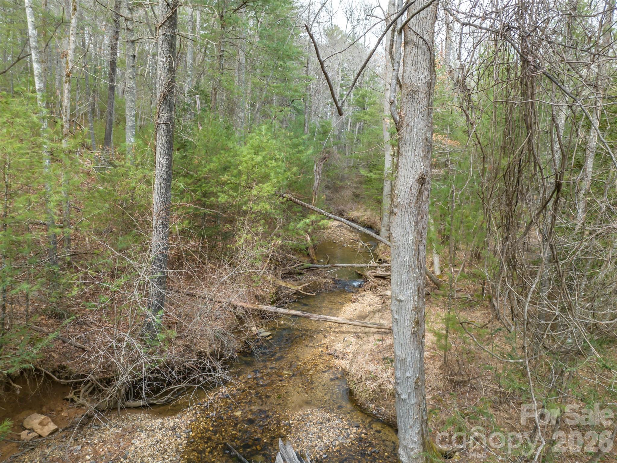 9999 Cedar Hill Drive #12 — Asheville
