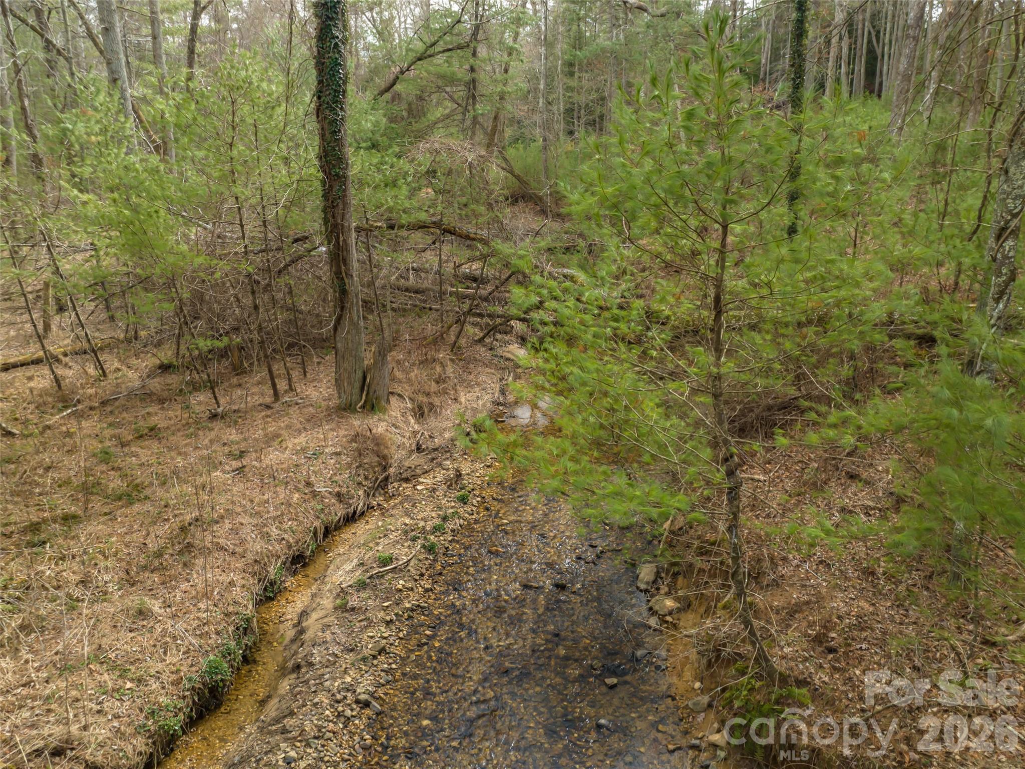 9999 Cedar Hill Drive #12 — Asheville
