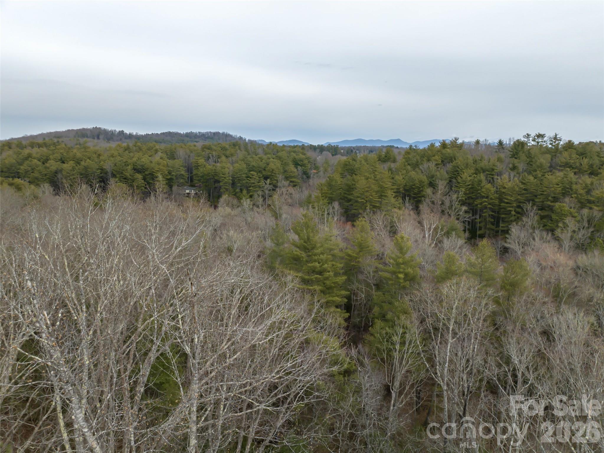 9999 Cedar Hill Drive #12 — Asheville