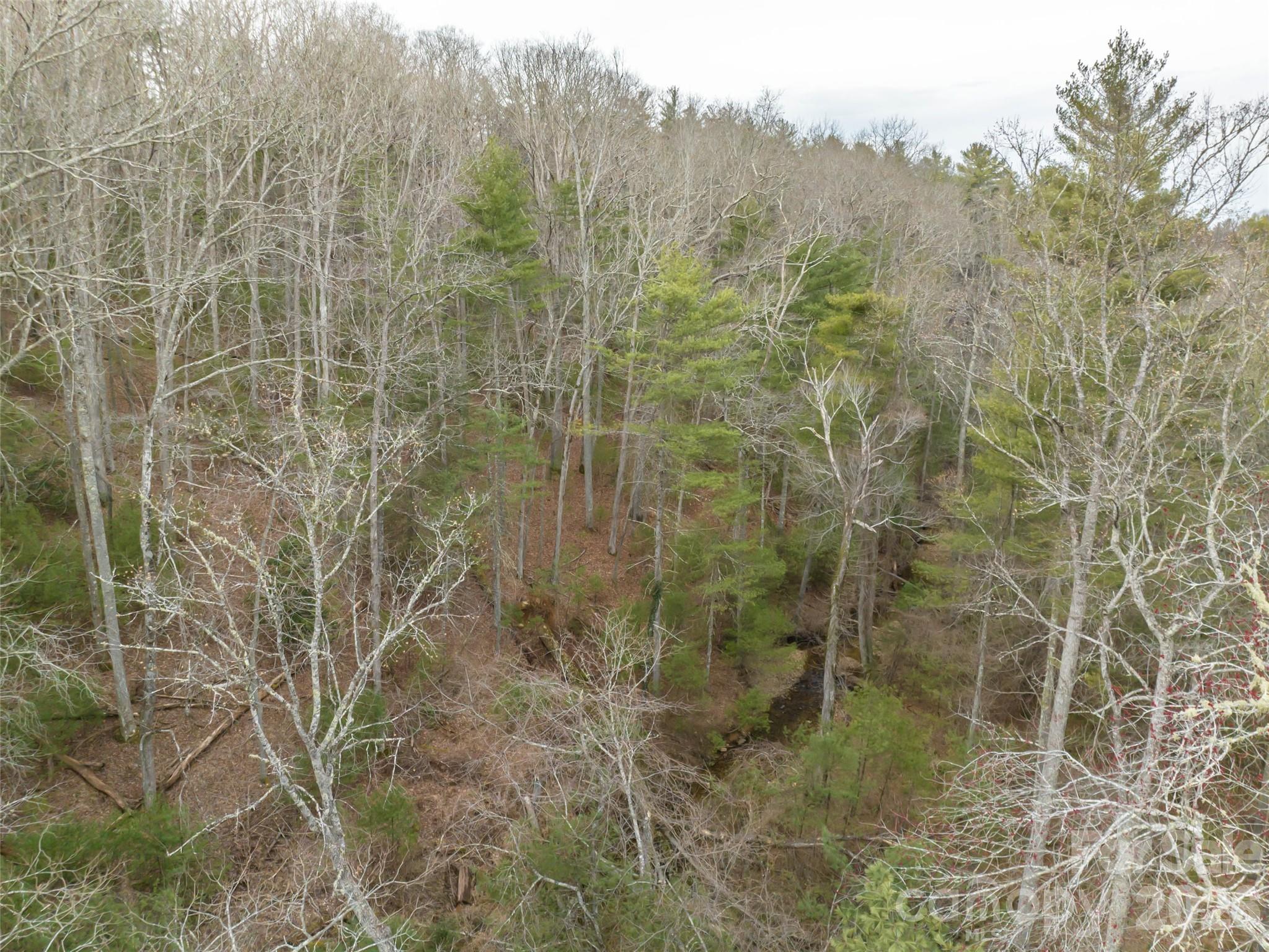 9999 Cedar Hill Drive #12 — Asheville