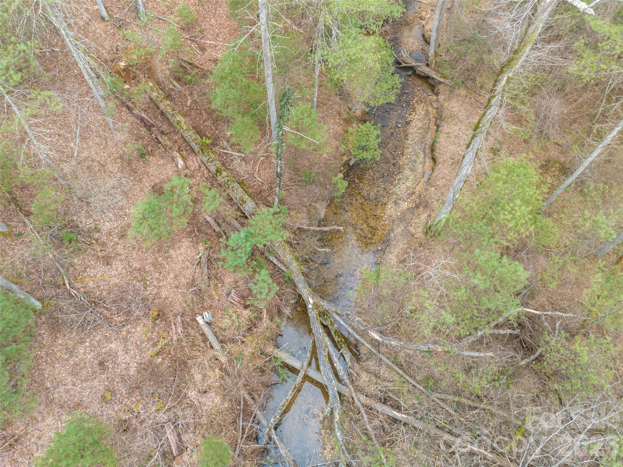 9999 Cedar Hill Drive #12 — Asheville