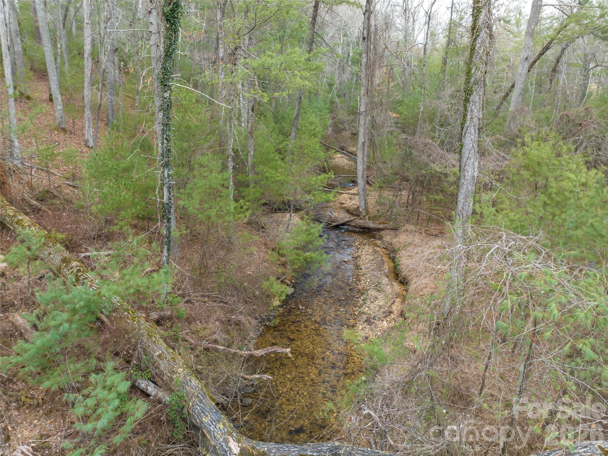 9999 Cedar Hill Drive #12 — Asheville