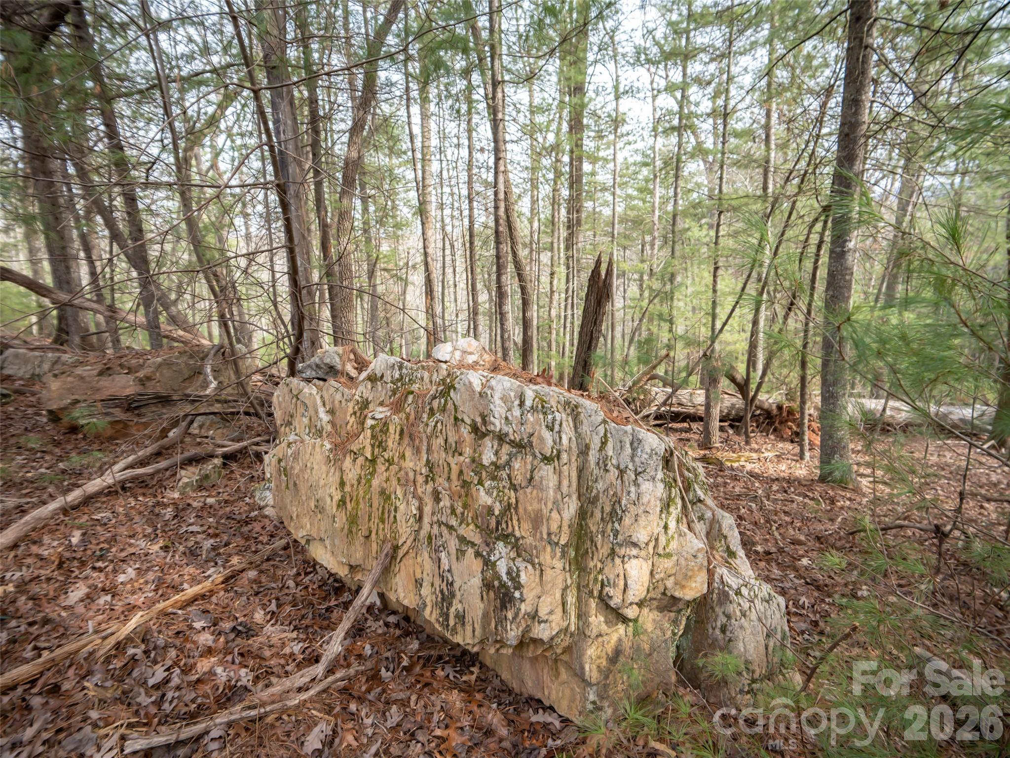 9999 Cedar Hill Drive #12 — Asheville