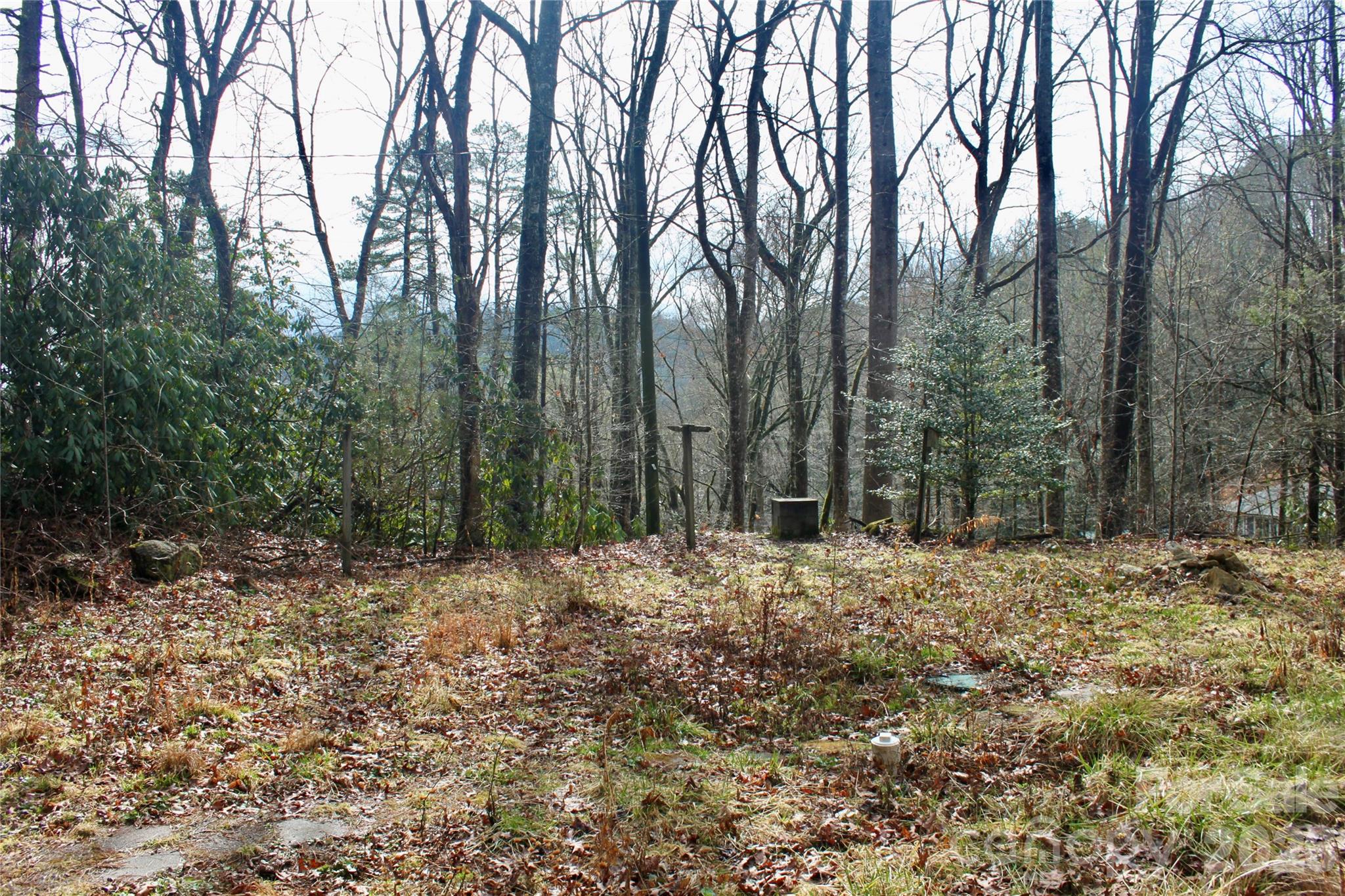 14 Irvin Road — Pisgah Forest