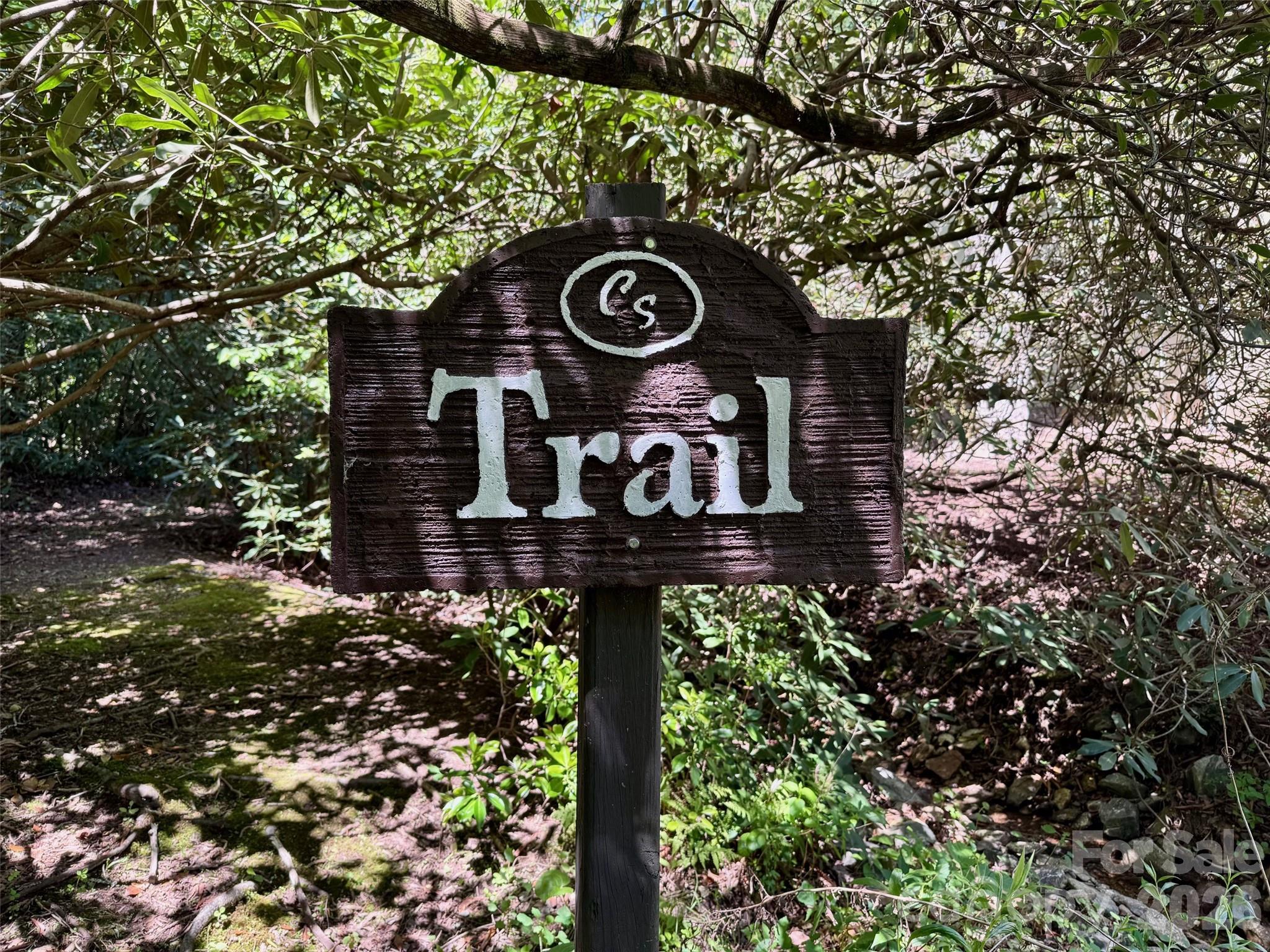 405 Mistletoe Trail — Hendersonville