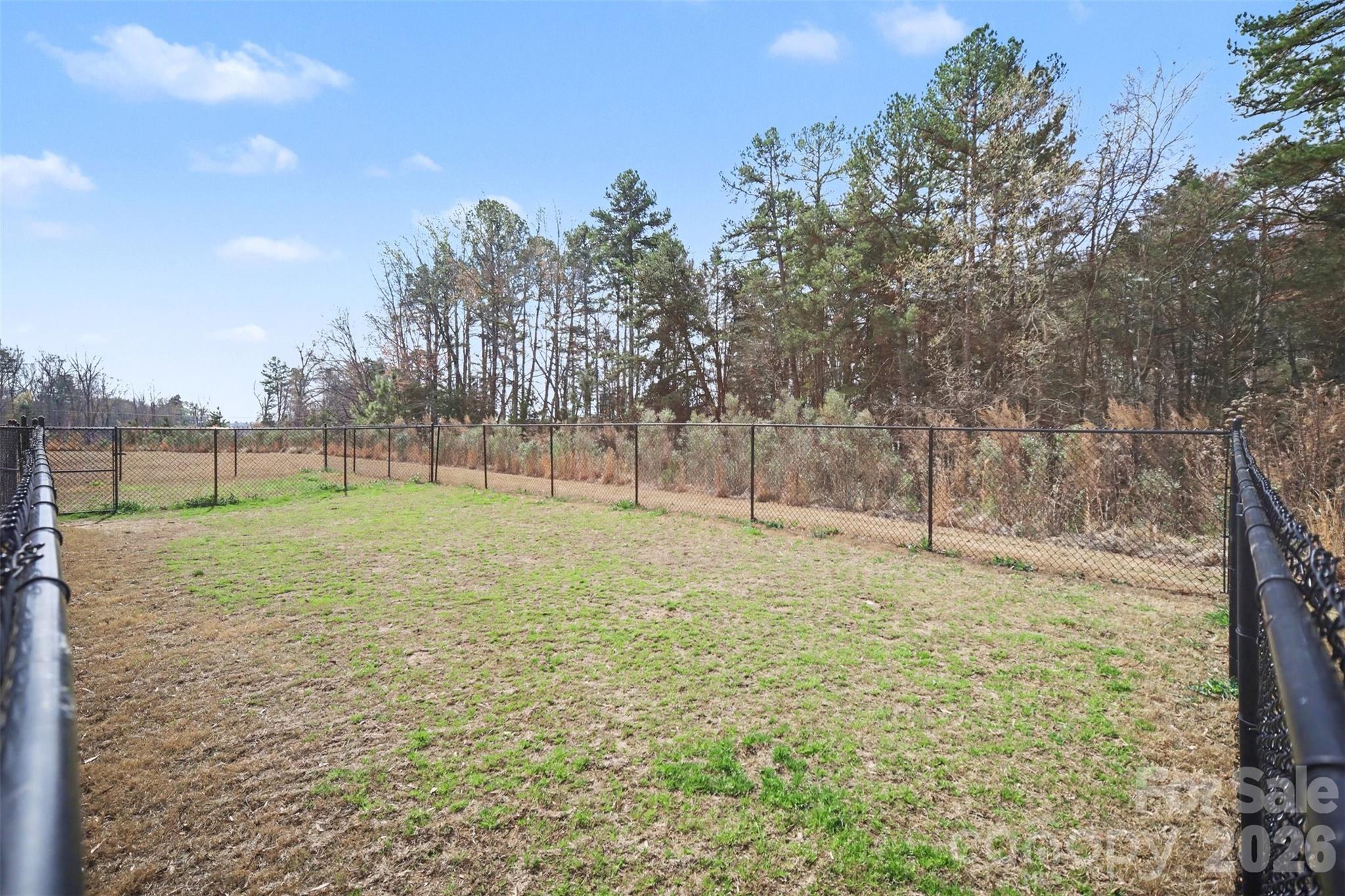 1211 May Apple Drive — Matthews