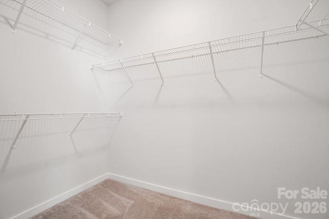 1196 Cavalier Lane — Rock Hill