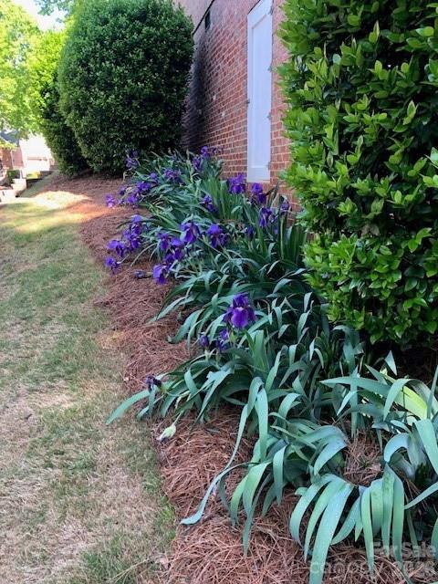 13824 Glen Abbey Drive — Charlotte