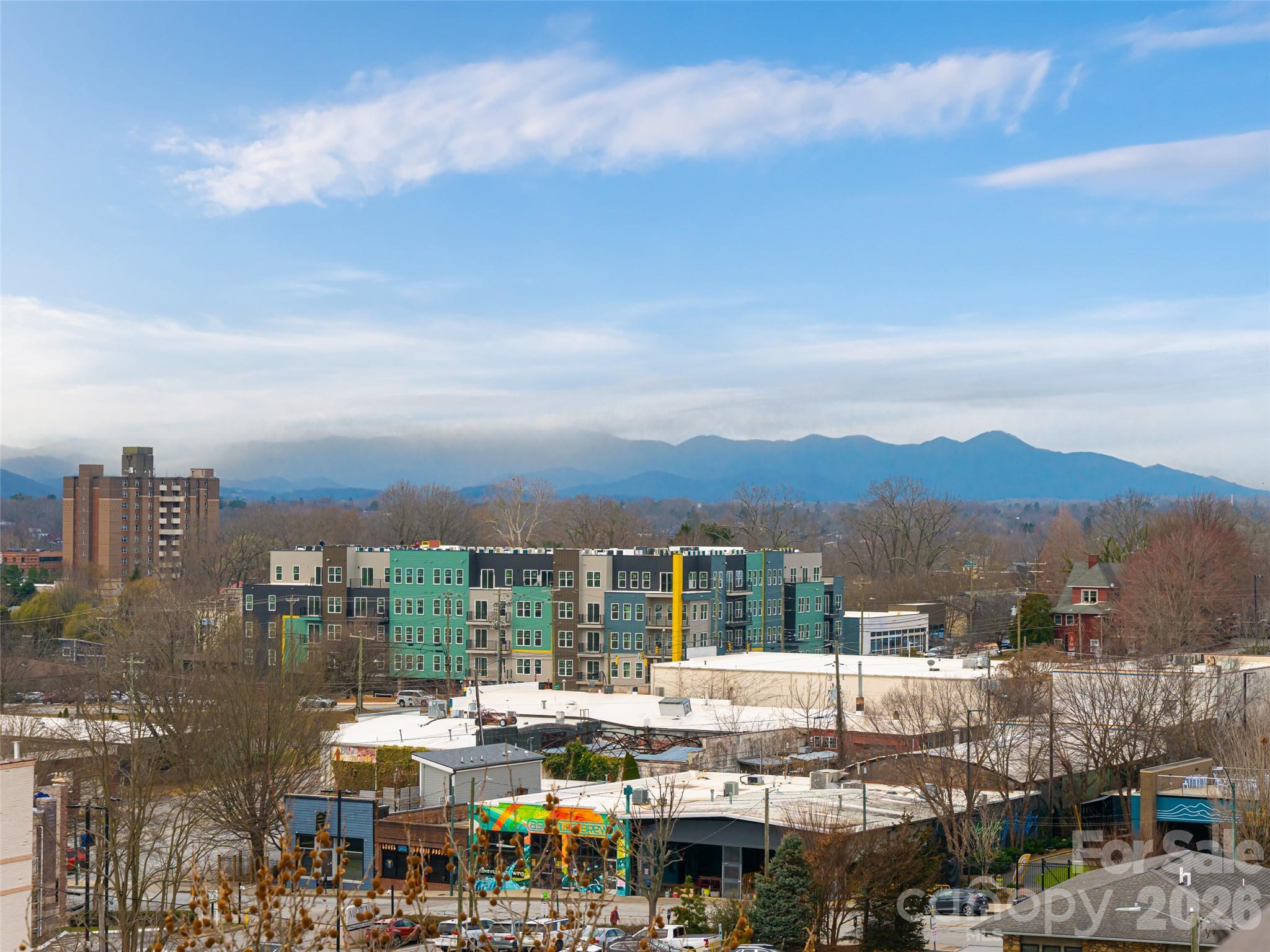 61 Church Street #103 — Asheville