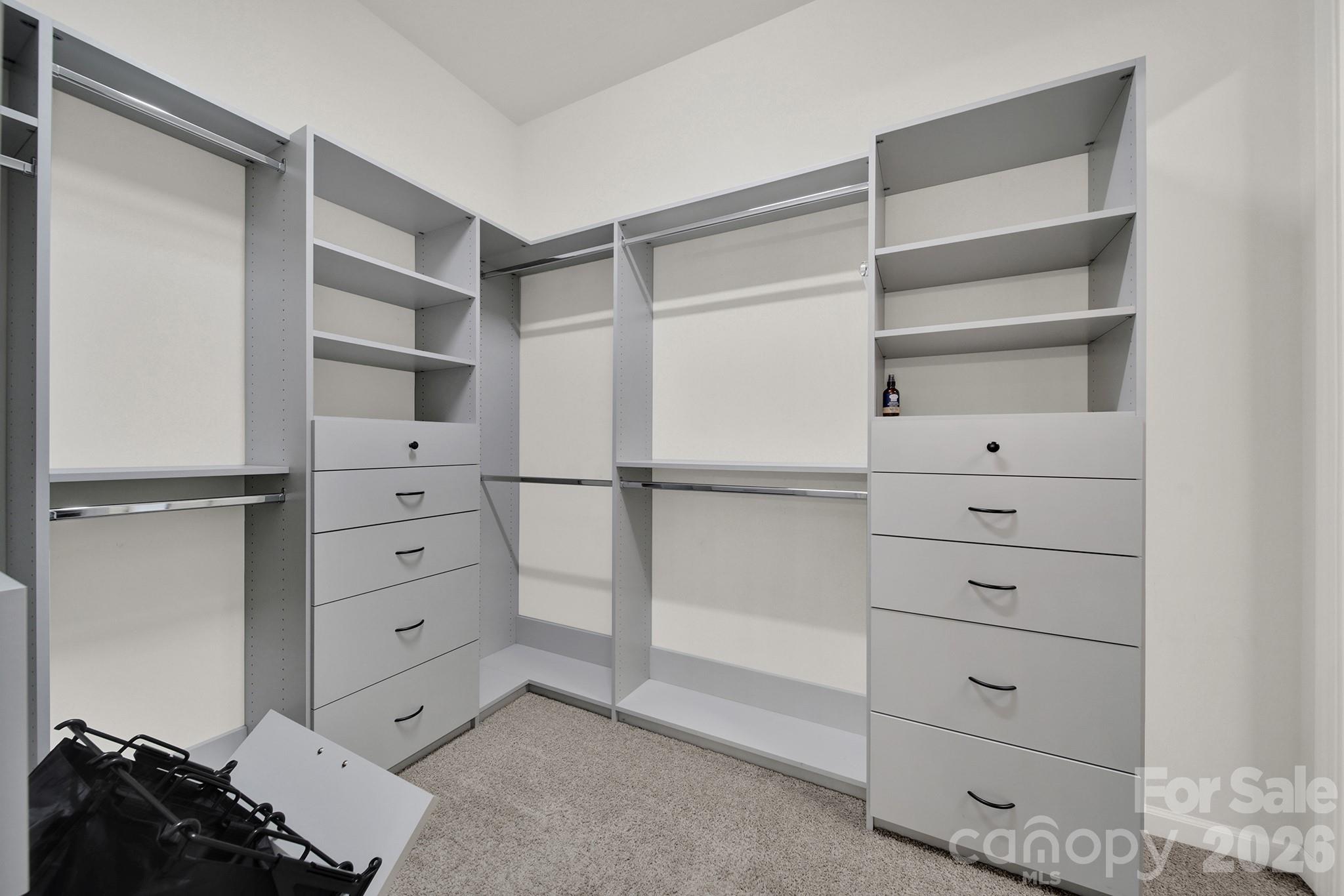 18033 Grey Mossrun Drive — Charlotte