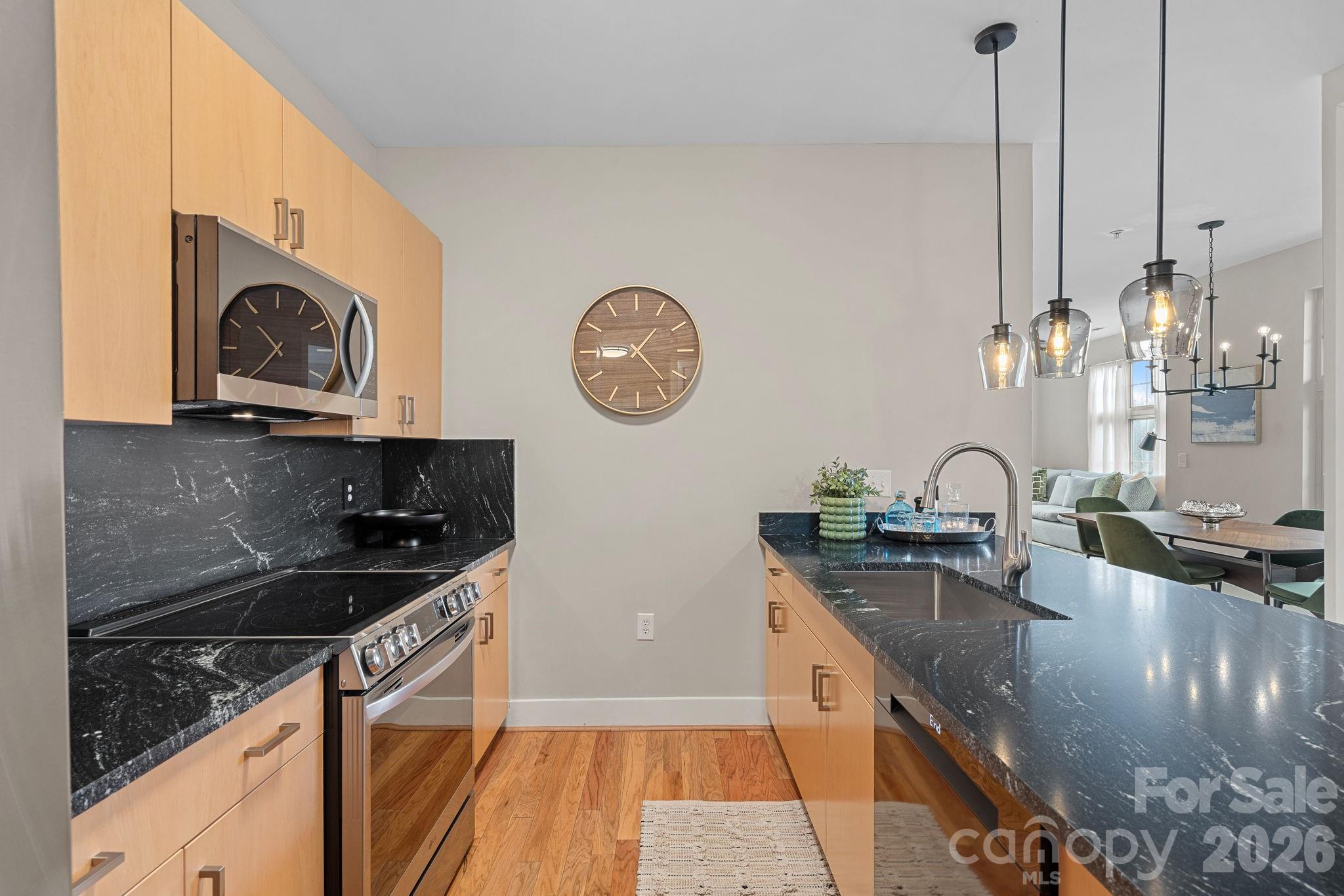 1101 W 1st Street #315 — Charlotte