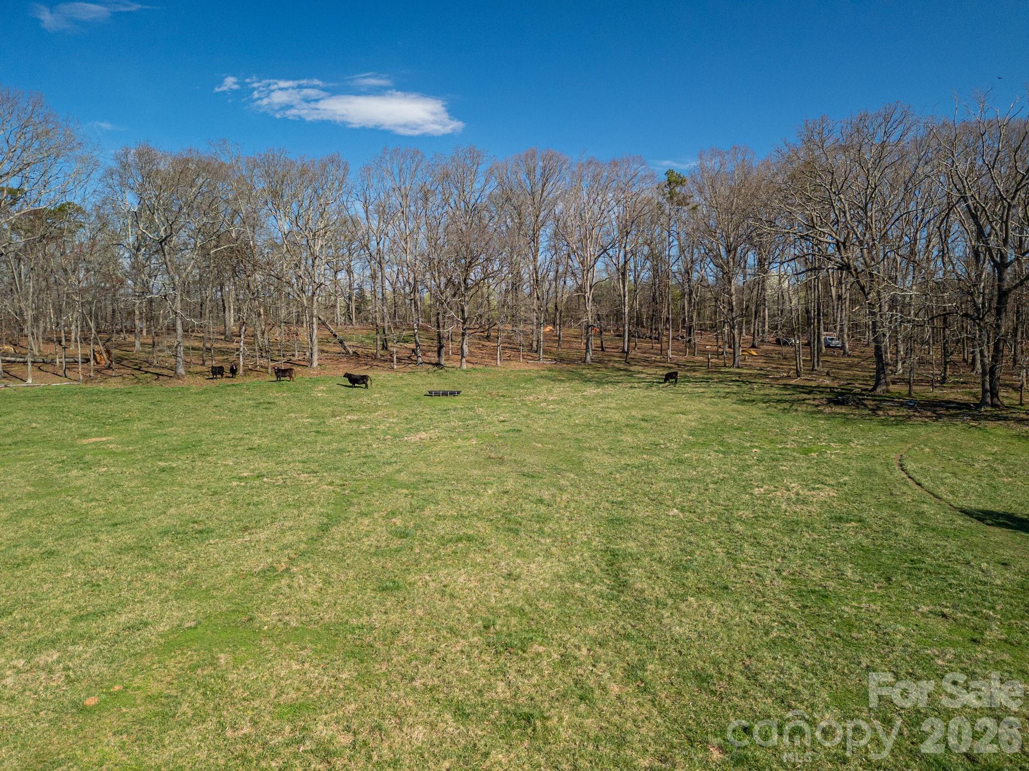 221 Lee Black Road — Cherryville