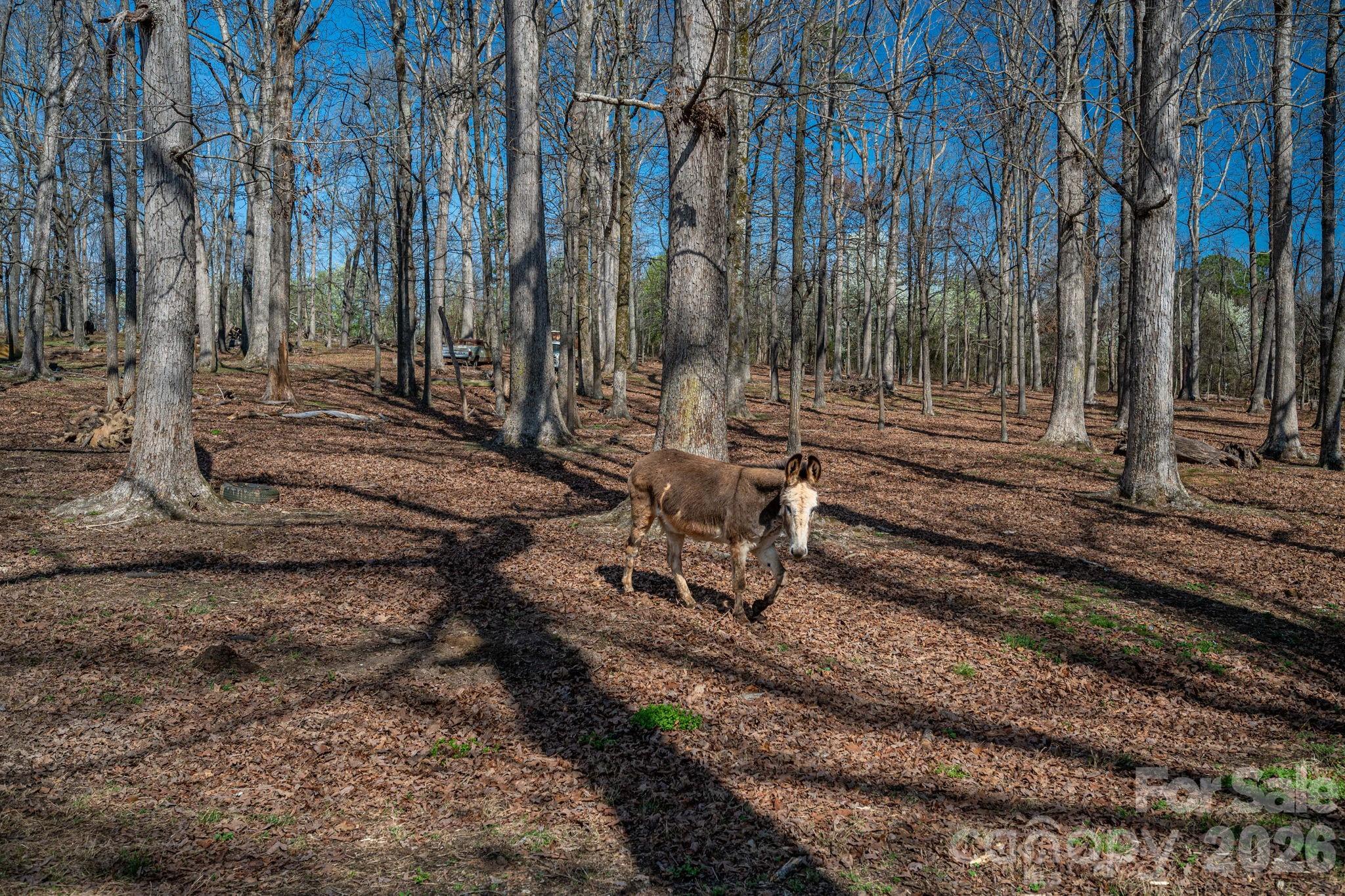 221 Lee Black Road — Cherryville