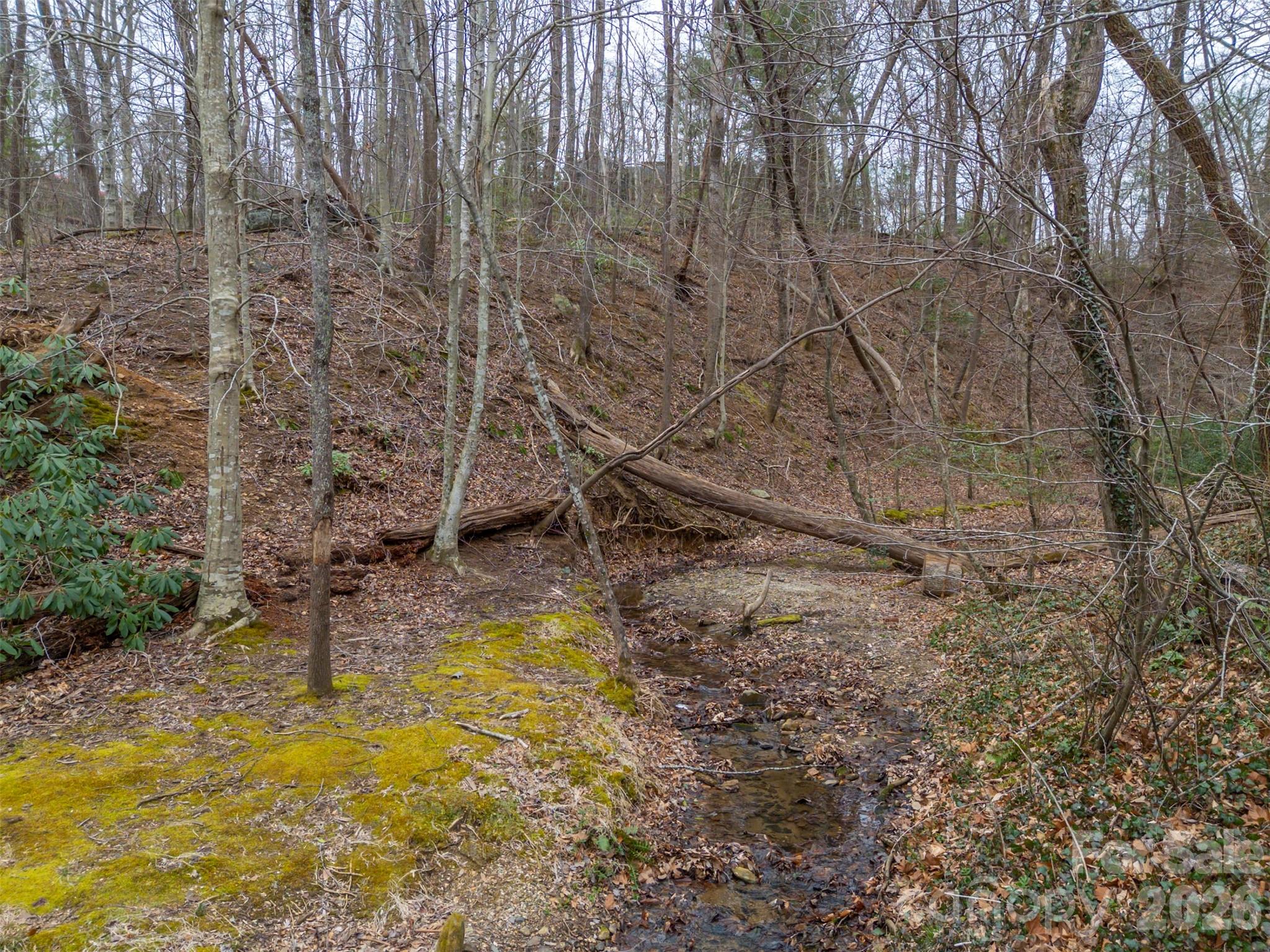 15 Meadowlark Drive — Tryon