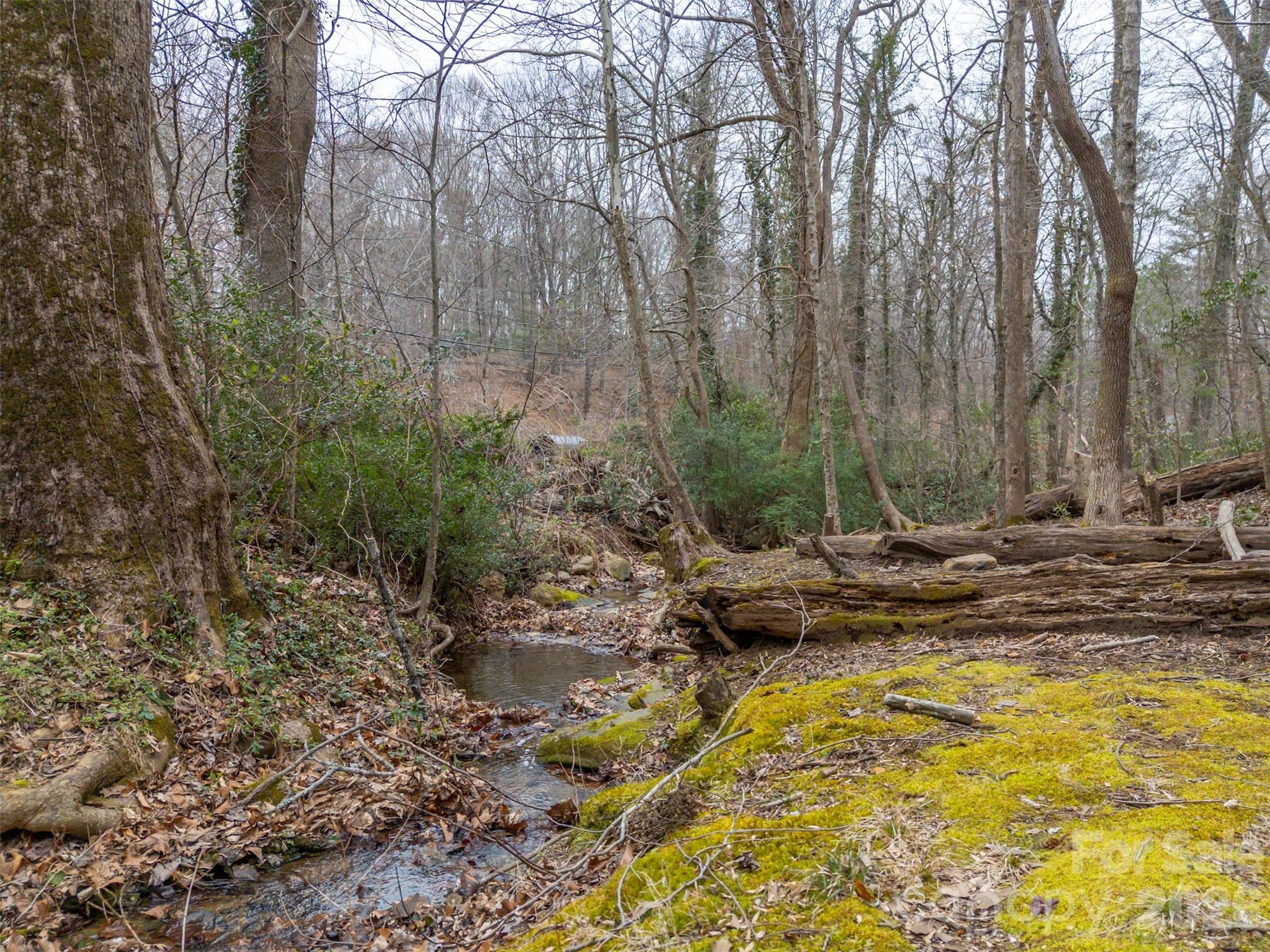 15 Meadowlark Drive — Tryon