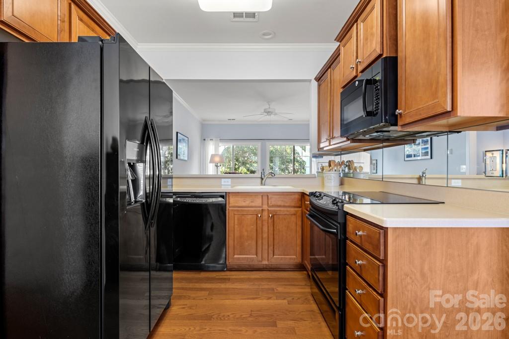 17412 Hawks View Drive — Indian Land