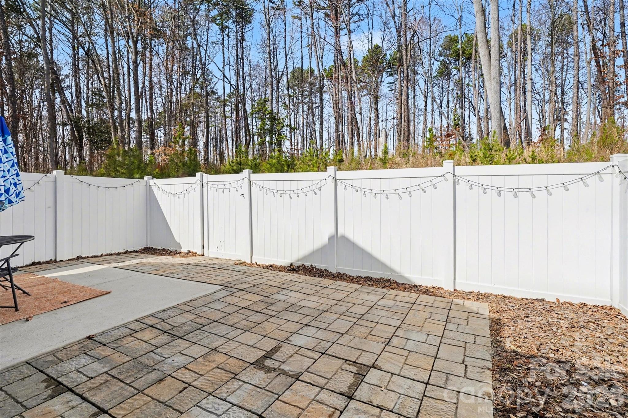 8238 Merryvale Lane — Charlotte
