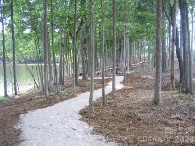 8238 Merryvale Lane — Charlotte
