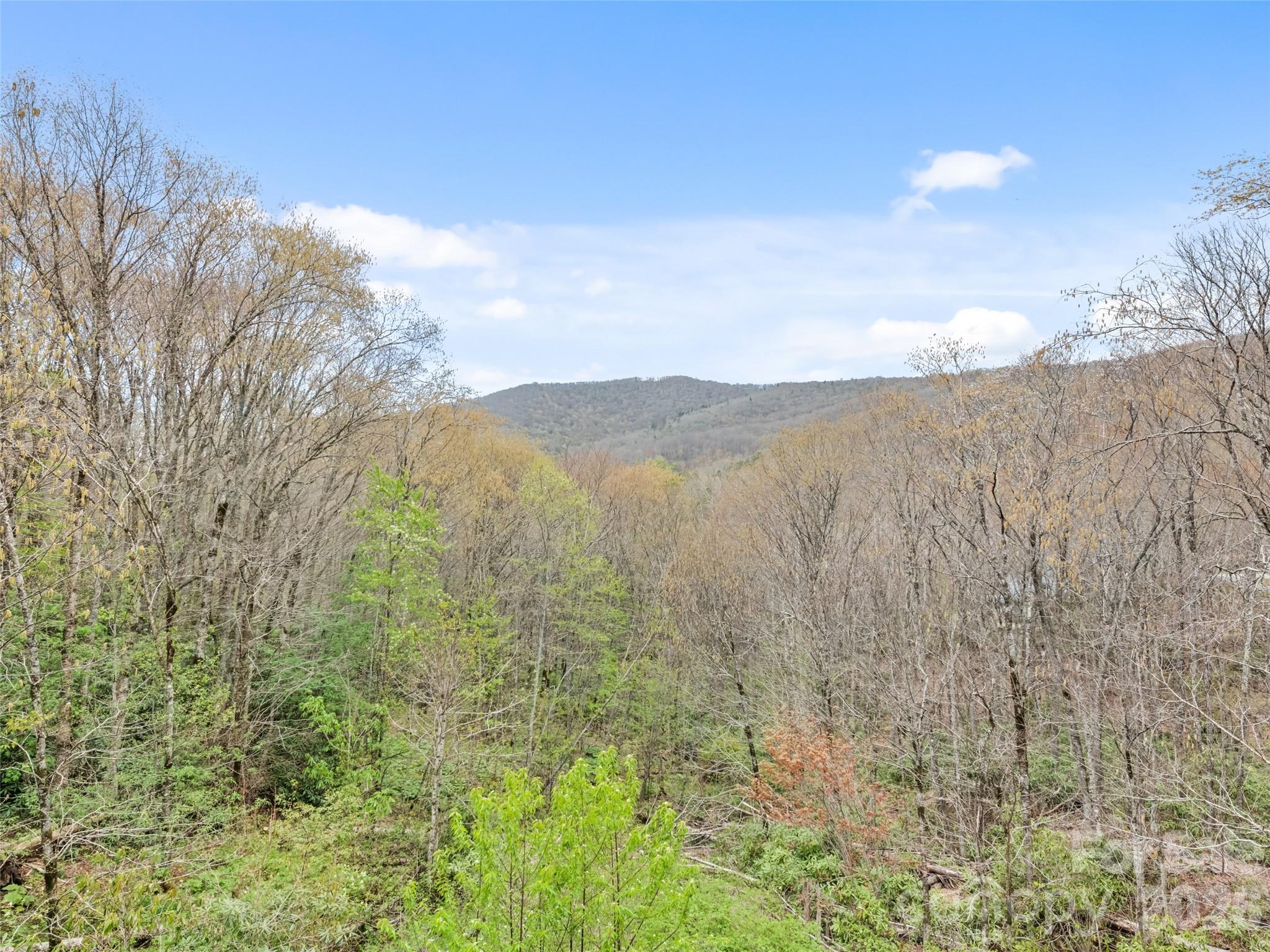 91 Copper Spur Road — Maggie Valley