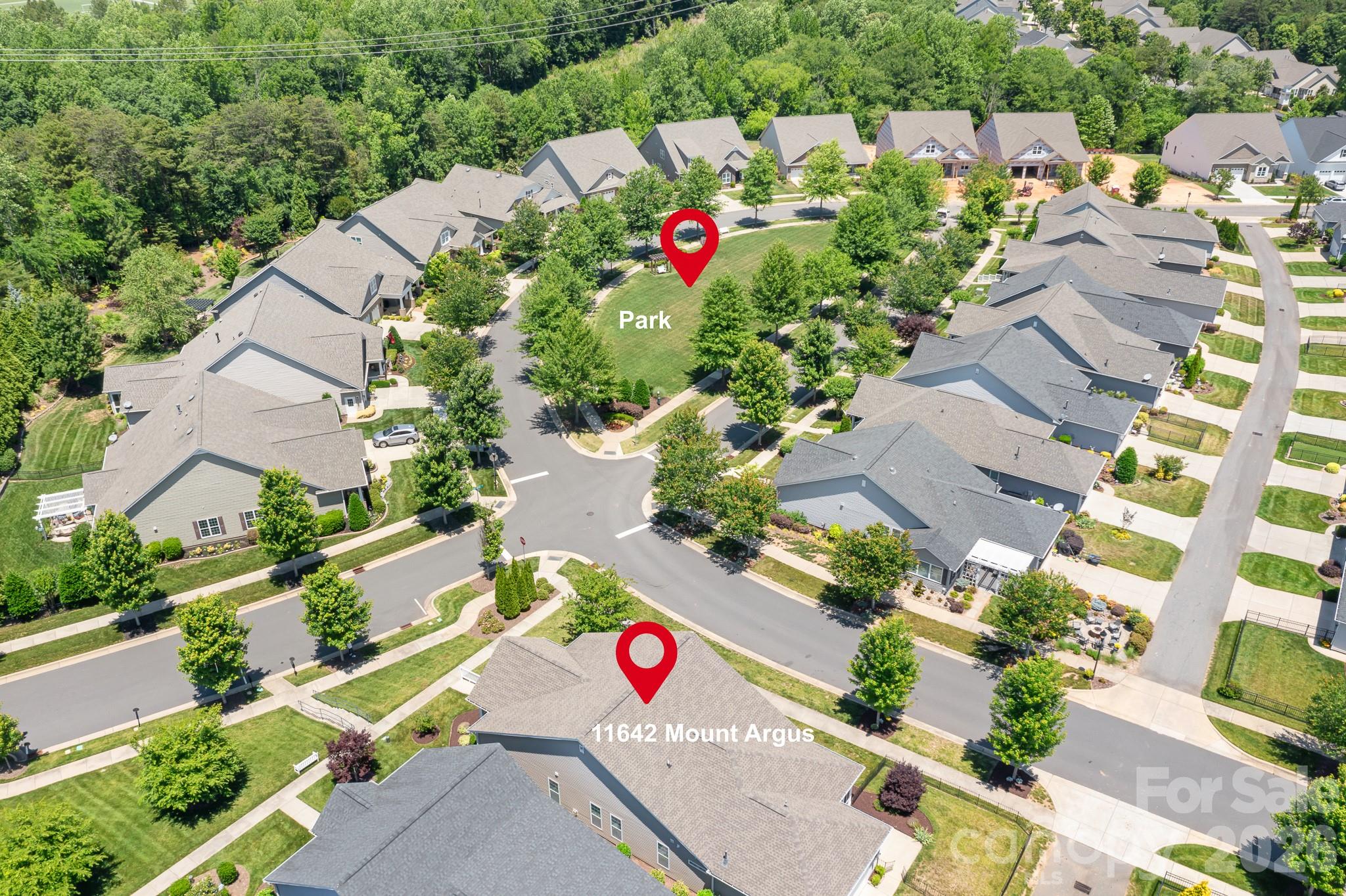 11642 Mount Argus Drive — Cornelius