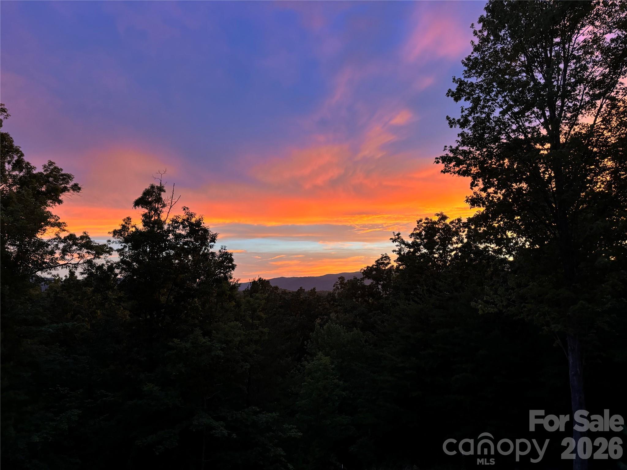 631 Mountain Parkway — Mill Spring