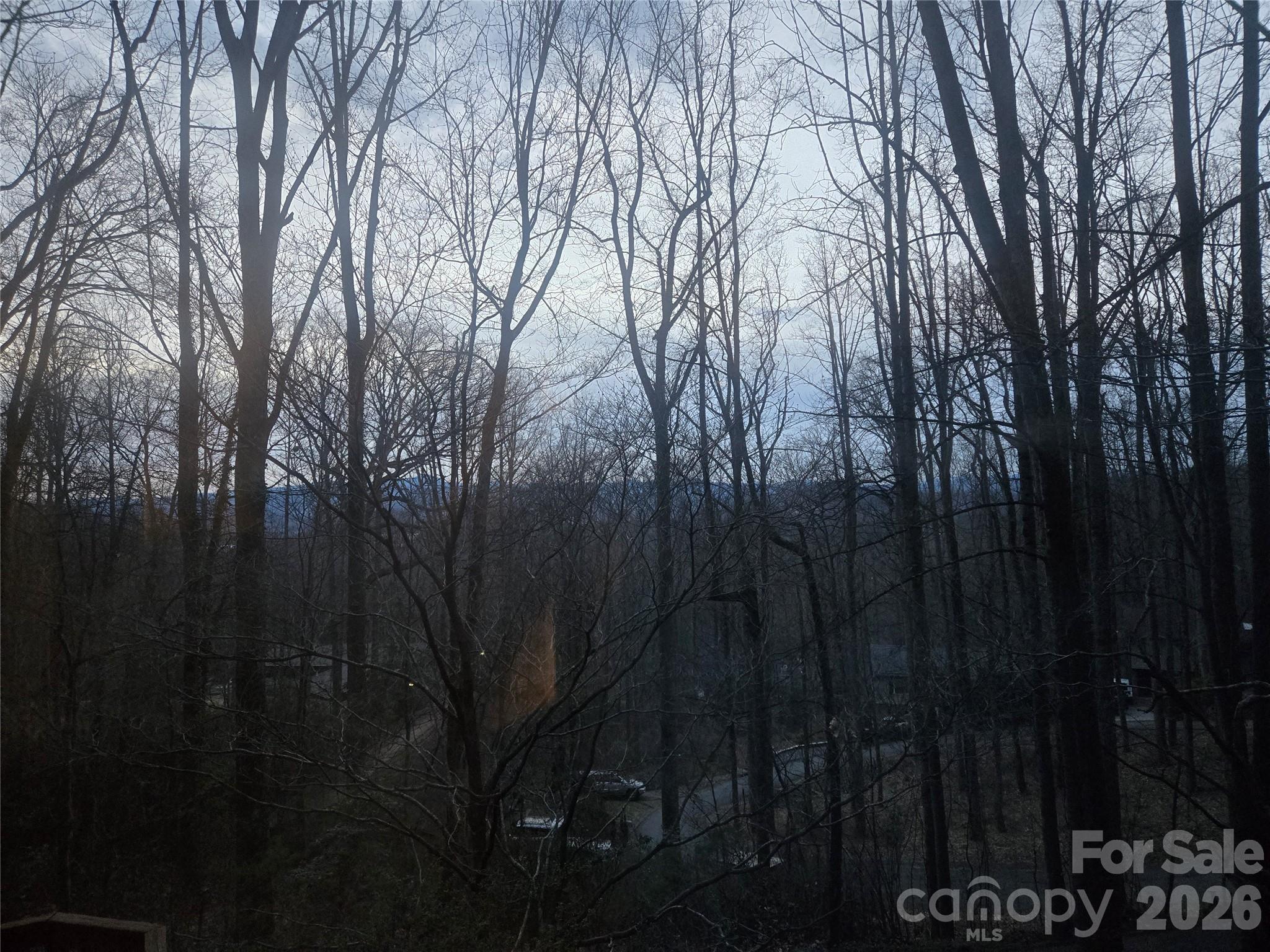 8 Shadywood Circle — Asheville