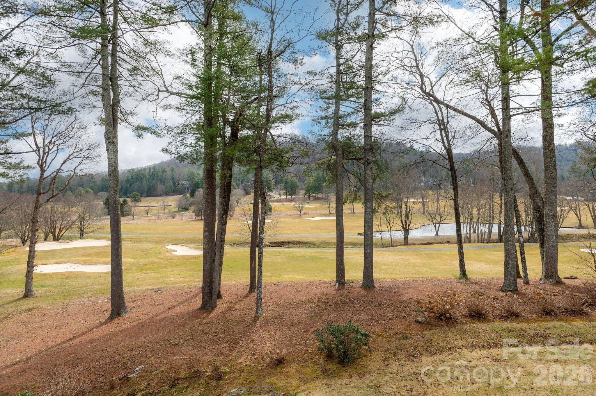 155 WINDING MEADOWS Drive — Flat Rock