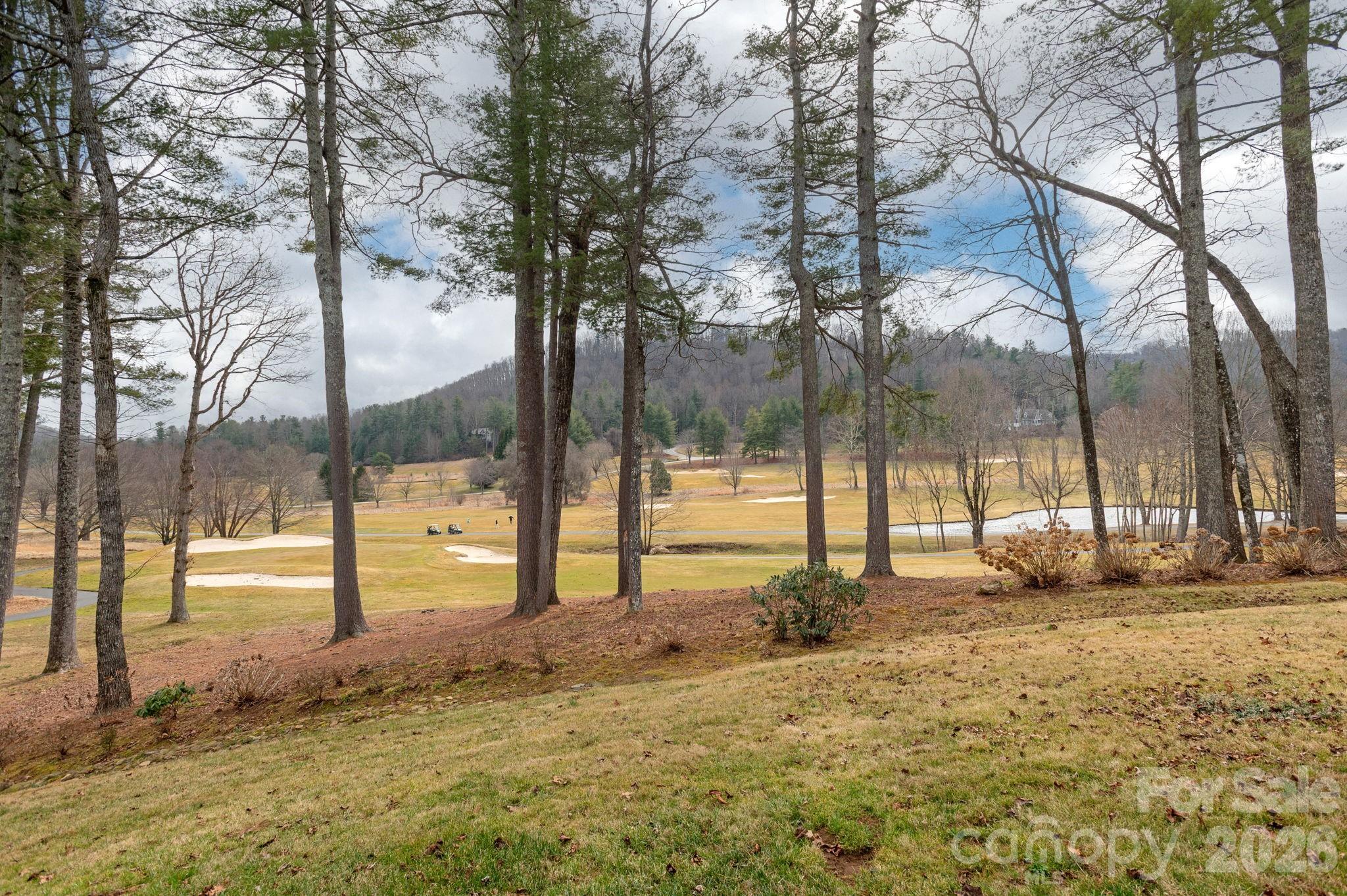 155 WINDING MEADOWS Drive — Flat Rock