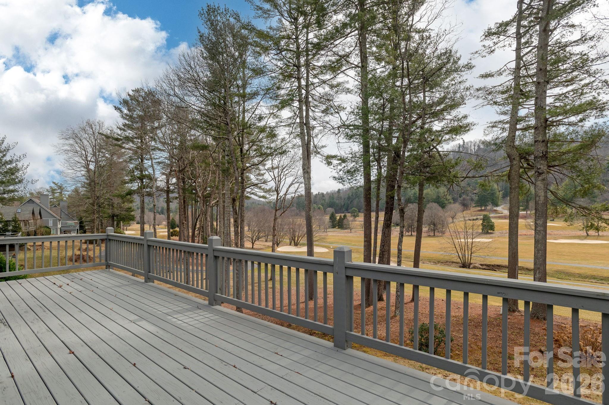 155 WINDING MEADOWS Drive — Flat Rock