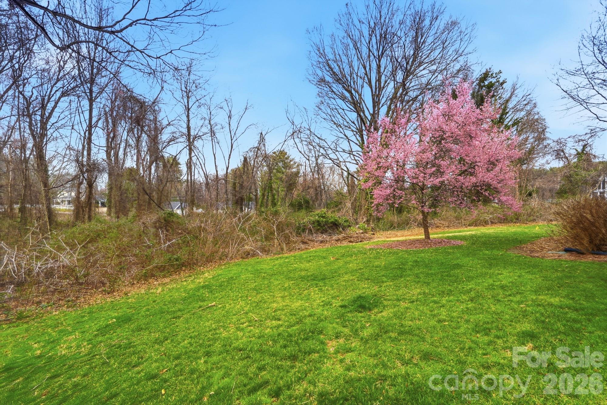 1173 Bunch Drive — Statesville