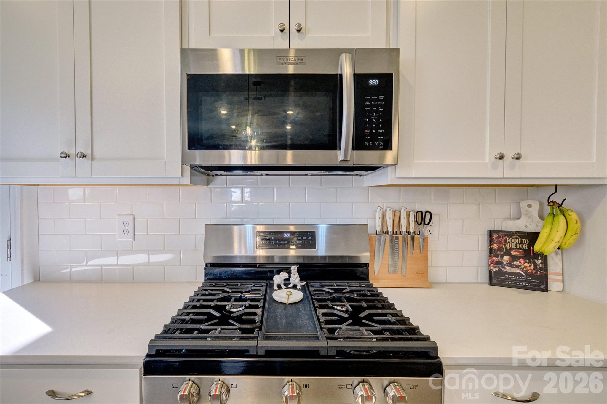 1737 Otter Perch Lane — Fort Mill