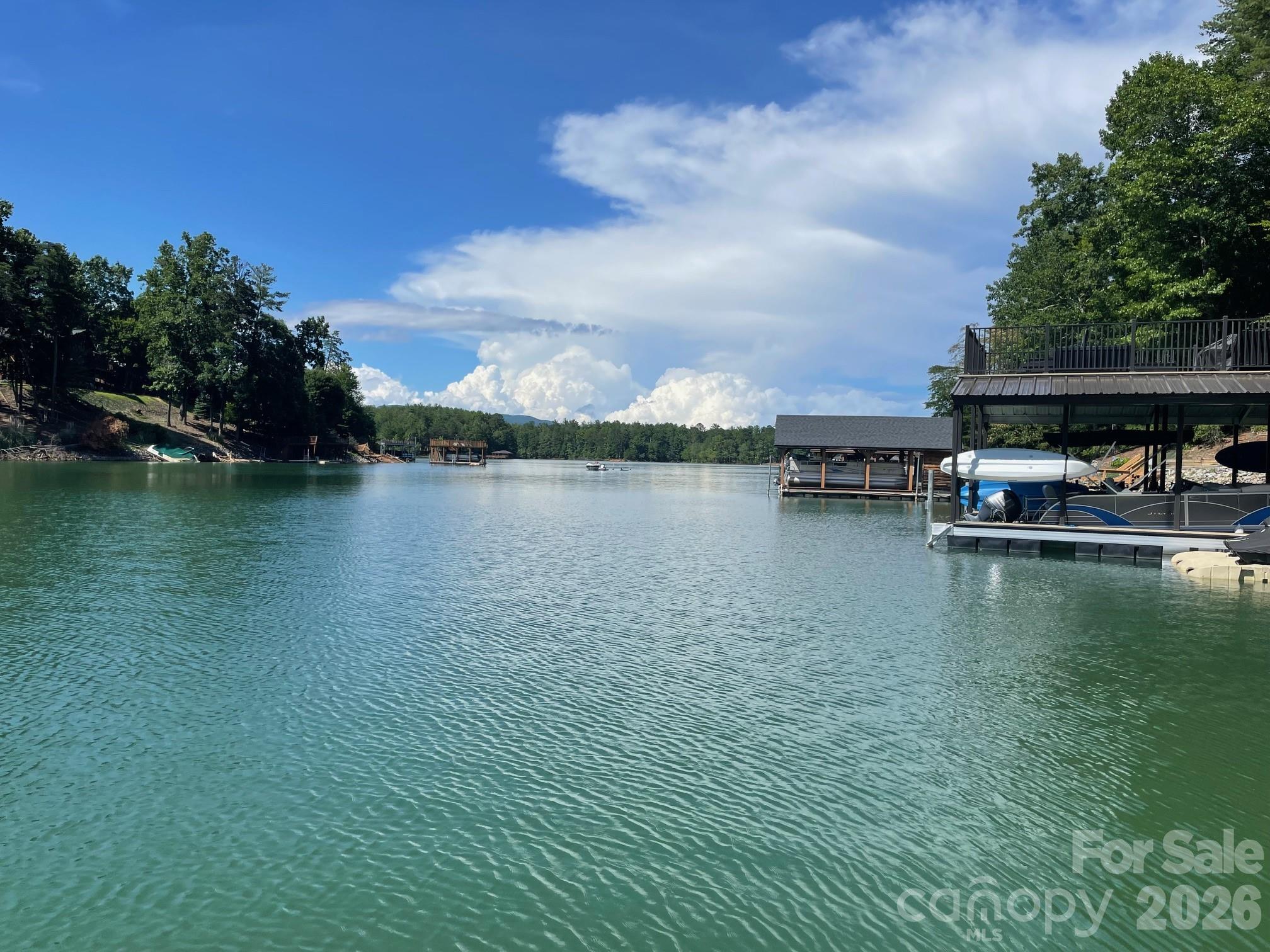 357 Lentz Landing Lane — Nebo
