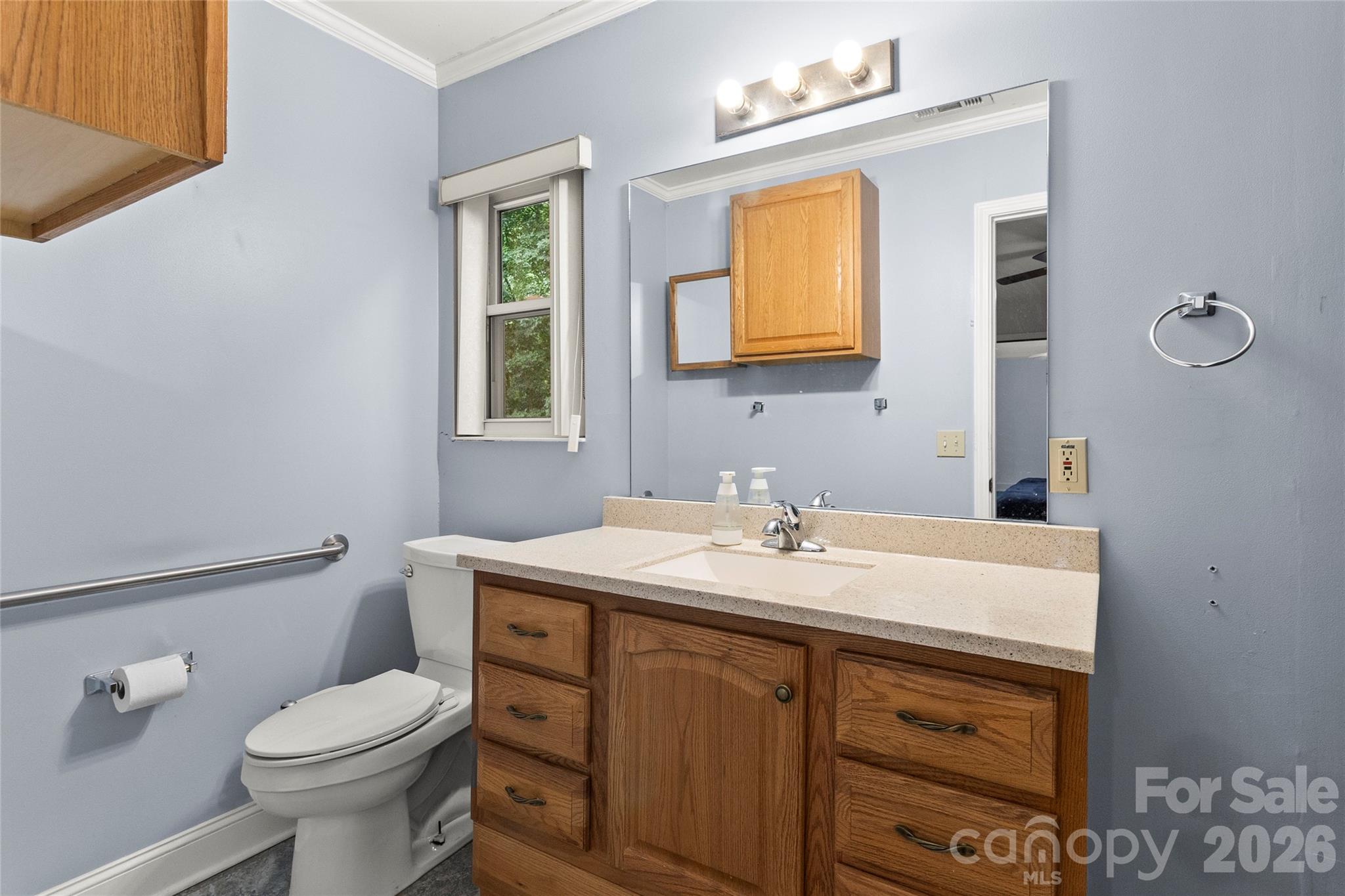132 Lismark Drive — Mooresville