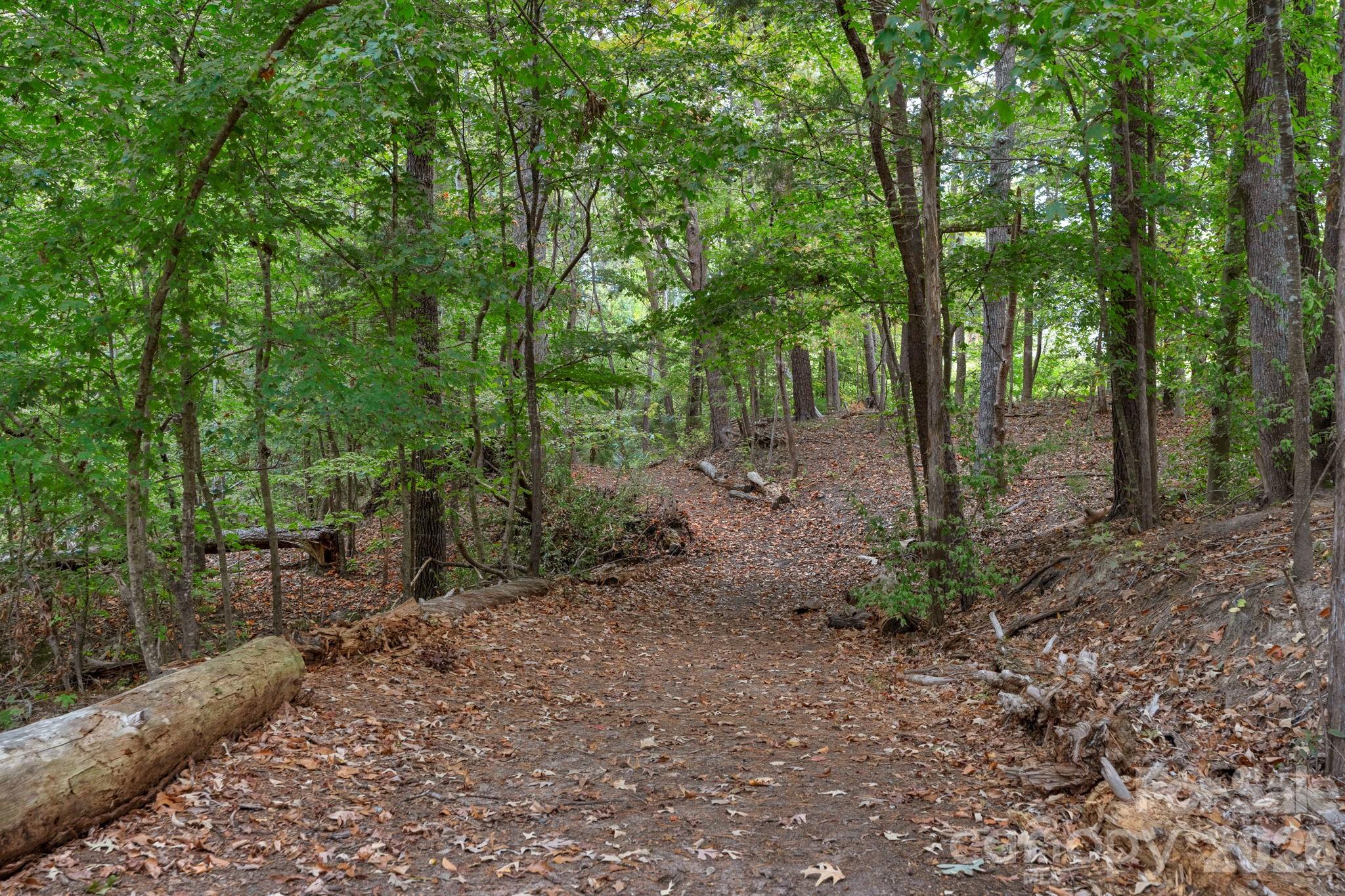 16414 Cozy Cove Road — Charlotte
