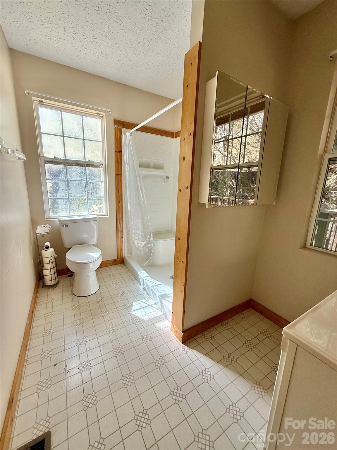 215 Pinellas Lane — Waynesville
