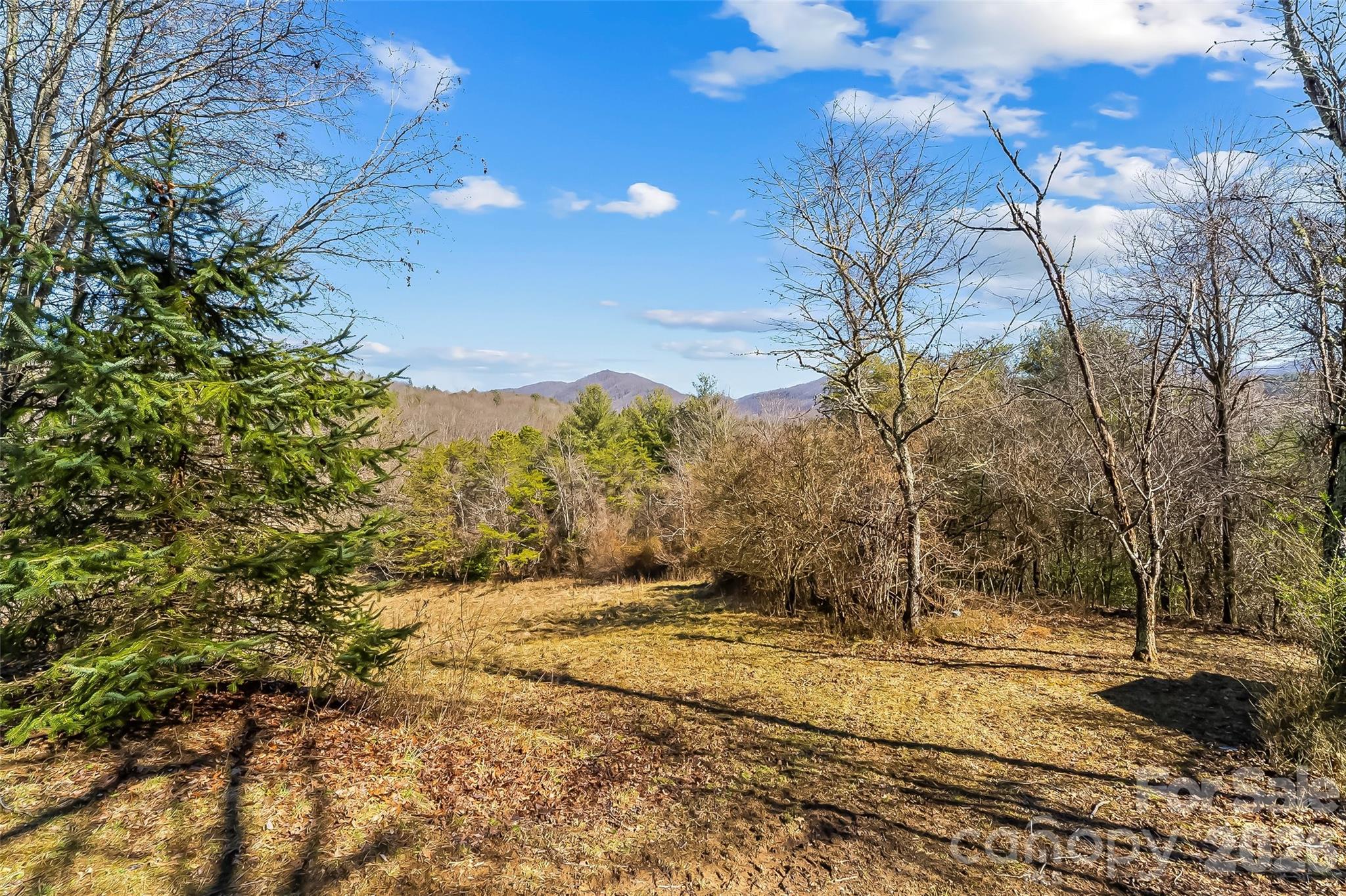 350 Sandy Bottom Road — Marshall