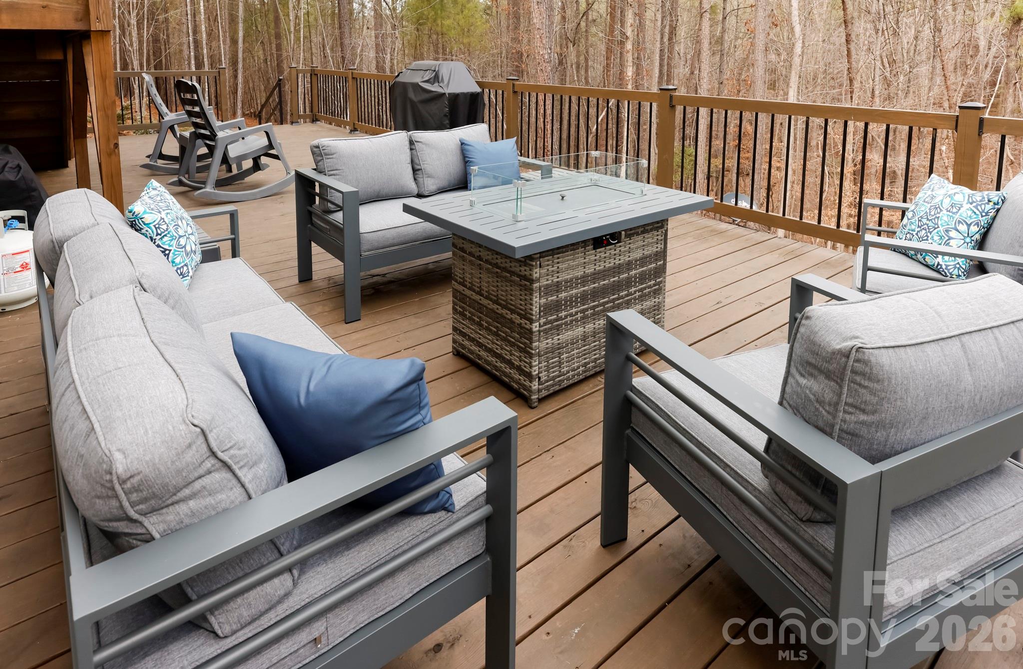 203 Burnt Chimney Lane — Rutherfordton